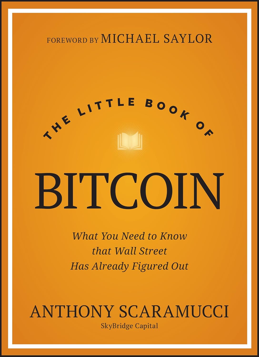 The Little Book of Bitcoin: What You Need to Know That Wall Street Has –  Popular Book Company Pte Ltd