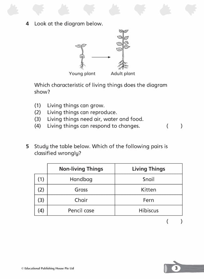 Primary 3 Complete Science Topical Tests (2nd Edition)