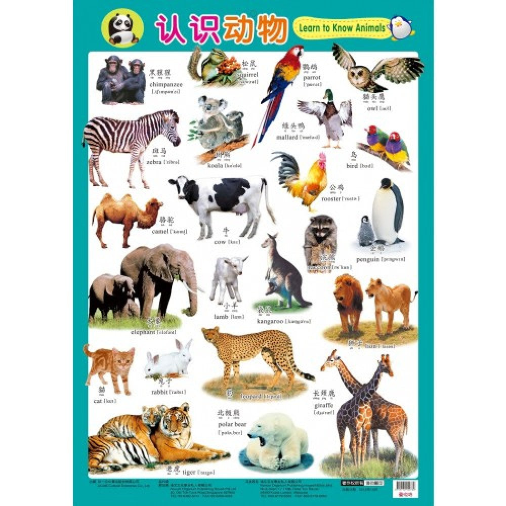 挂图-认识动物
