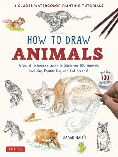 HOW TO DRAW ANIMALS