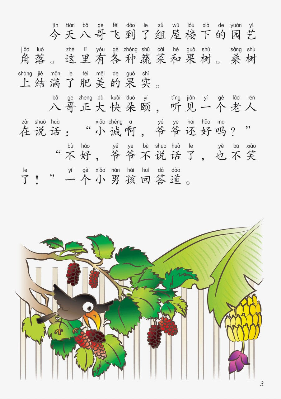 今天我们炒青菜-新加坡快乐小厨师绘本系列7