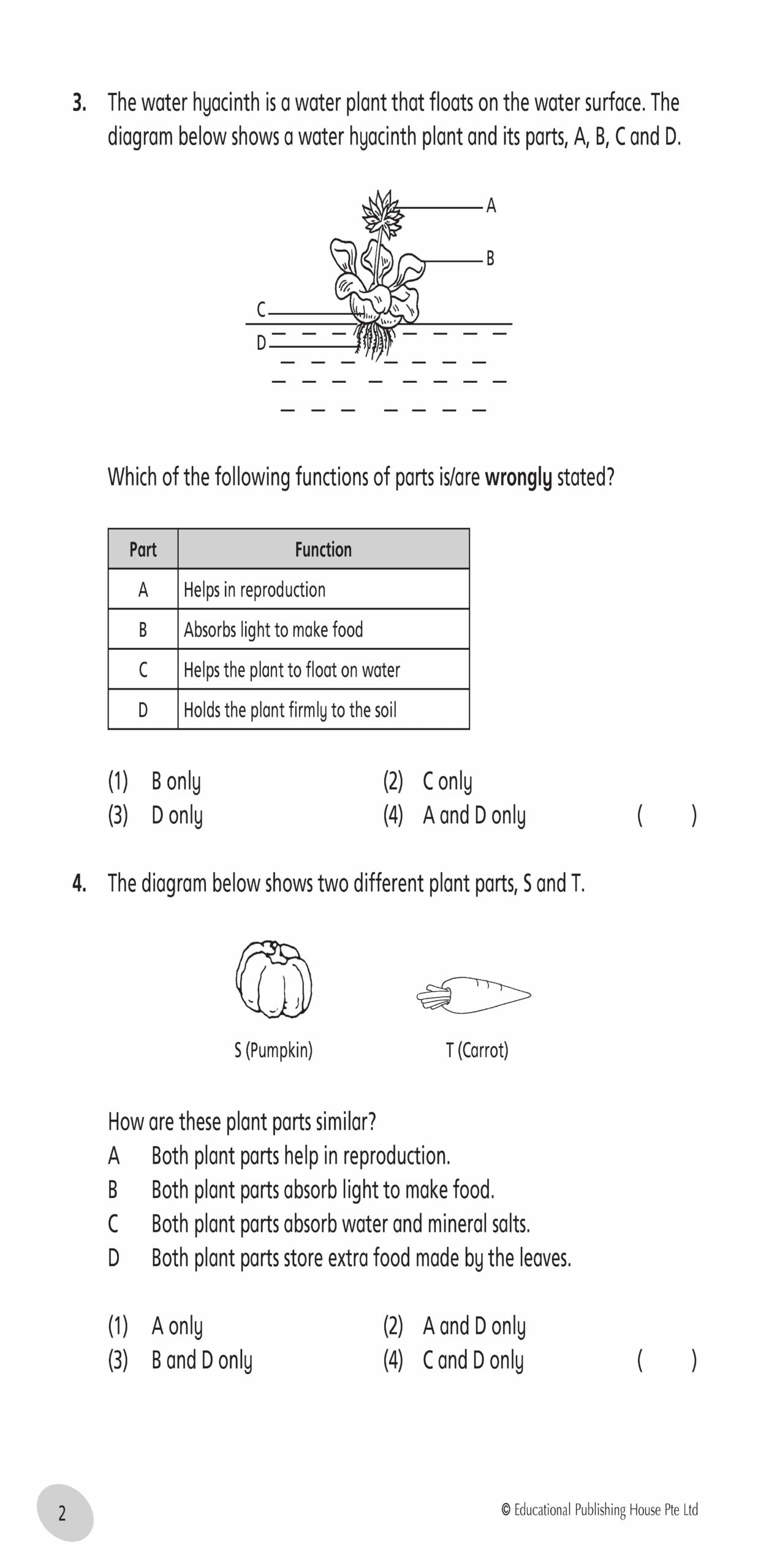 Primary 4 Science Tests