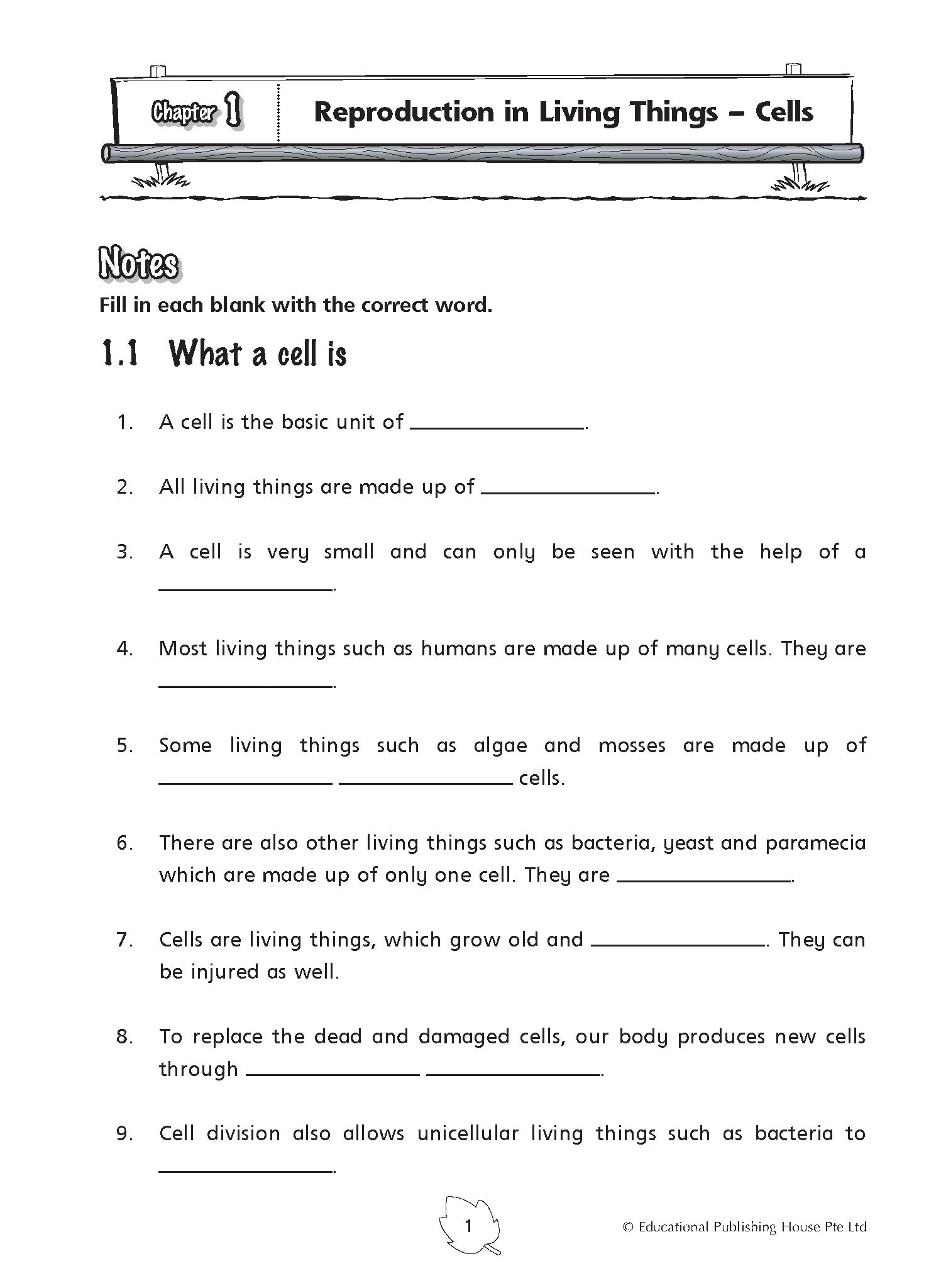 Primary 5 Science Practice 1000+ -3rd Edition