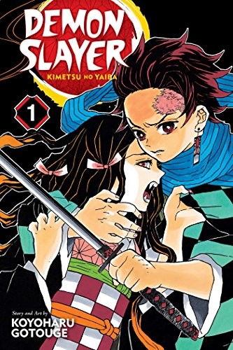 鬼滅の刃　1巻　初版　Demon Slayer first printing Demon Slayer: Kimetsu No Yaiba, Vol. 1 (Manga) – Popular Book
