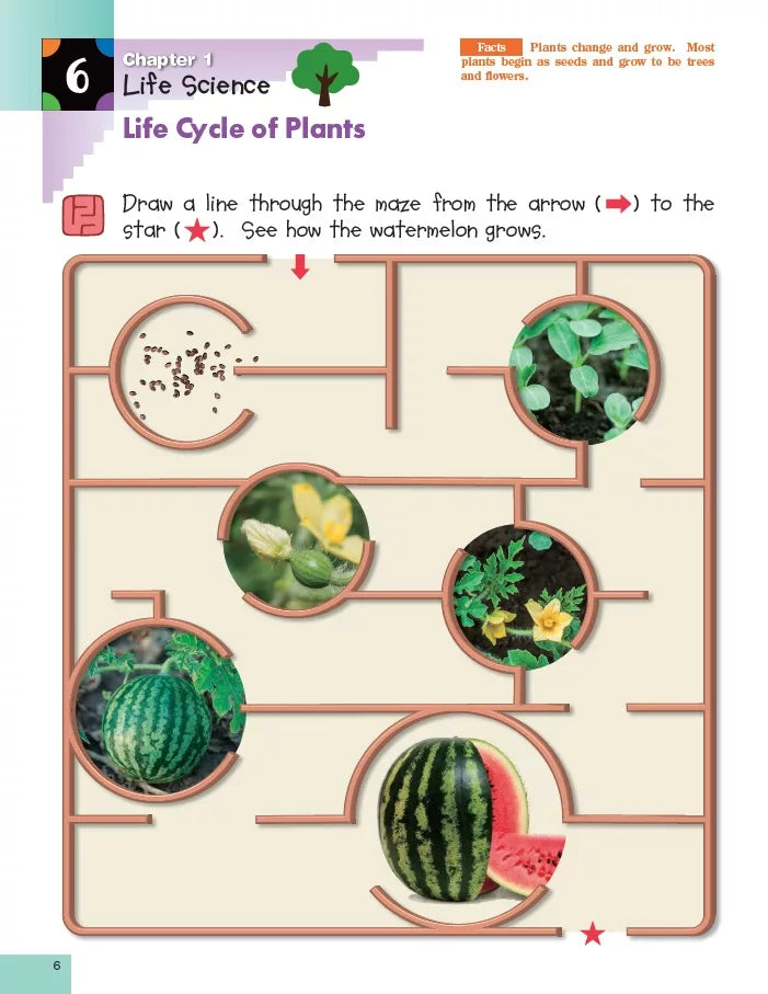 Kumon: Science K & Up Sticker Activity Book