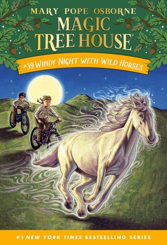 Magic Tree House - Windy Night with Wild Horses: 39