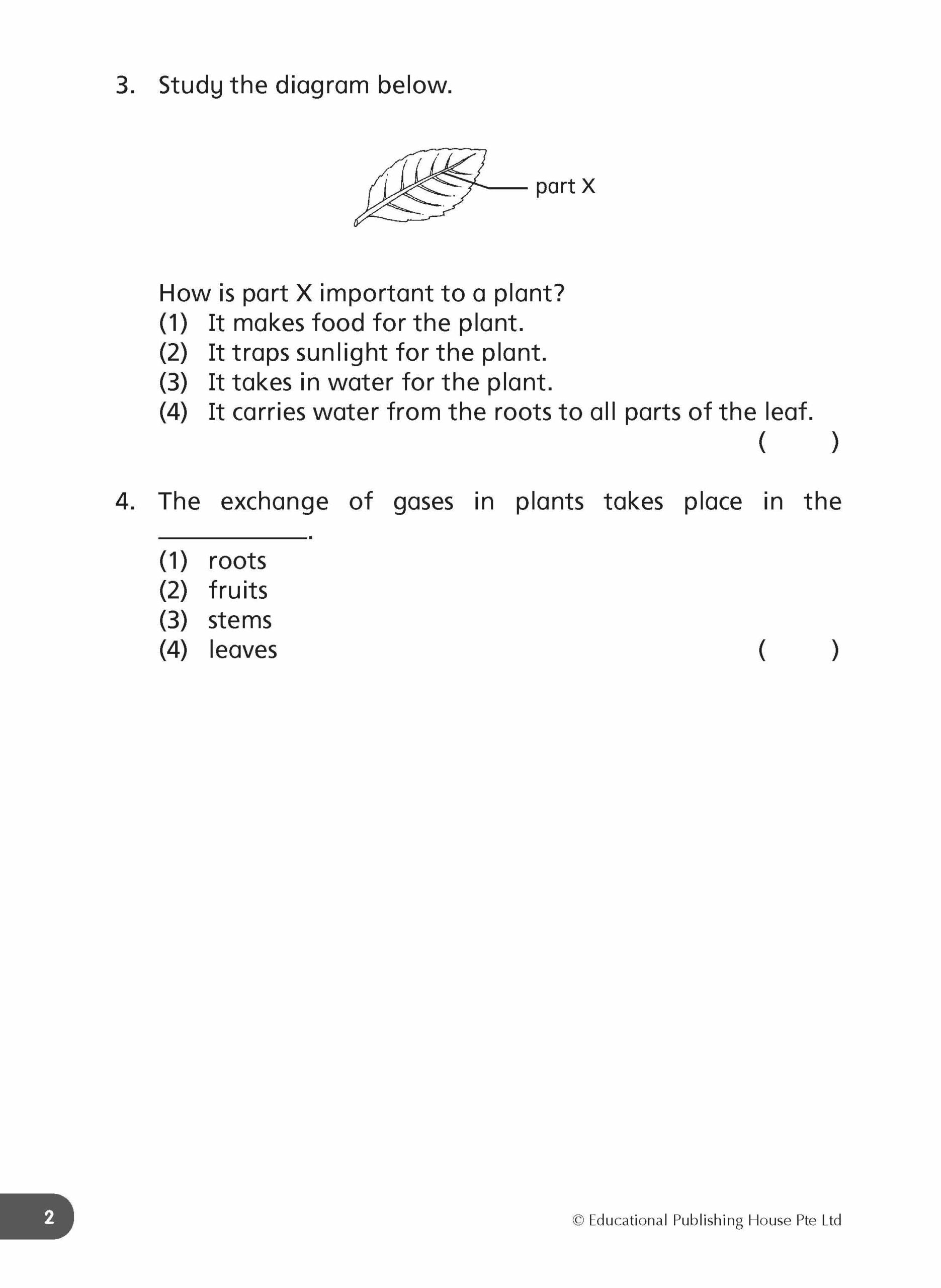 Primary 4 Daily Dose of Science (4th Edition)