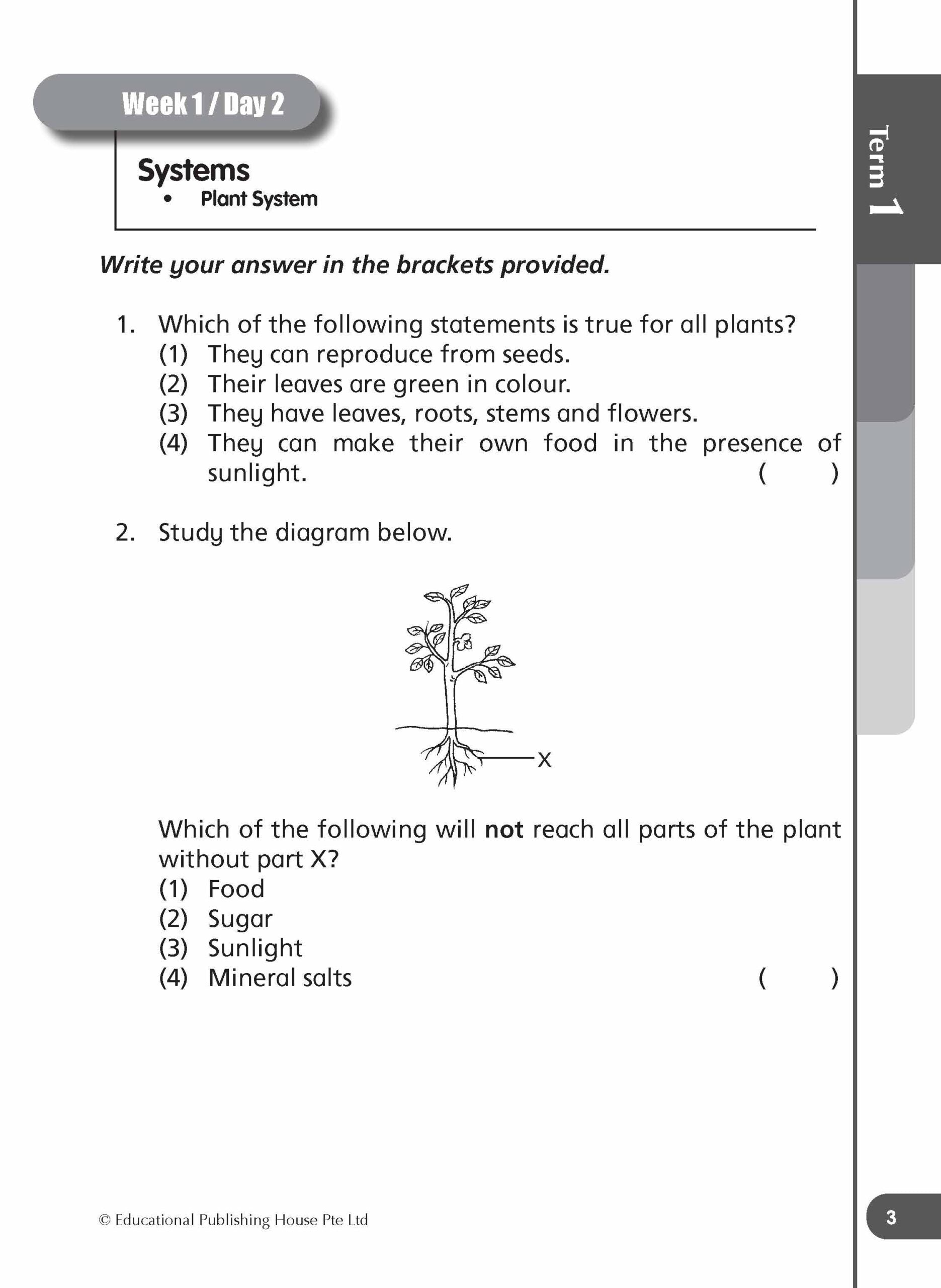 Primary 4 Daily Dose of Science (4th Edition)