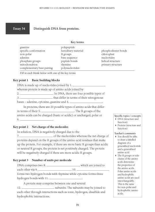 Key Guide A-Level H2 Biology Revision Via Essays