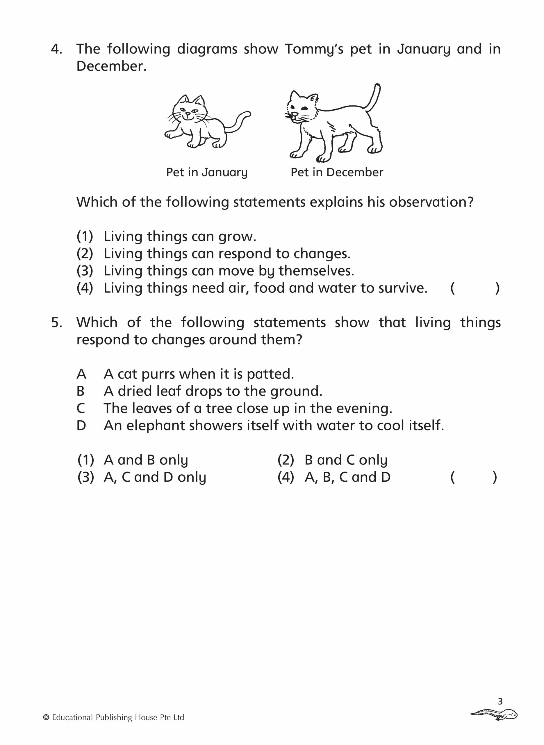 Primary 3 Science Topical Class Tests (2nd Edition)