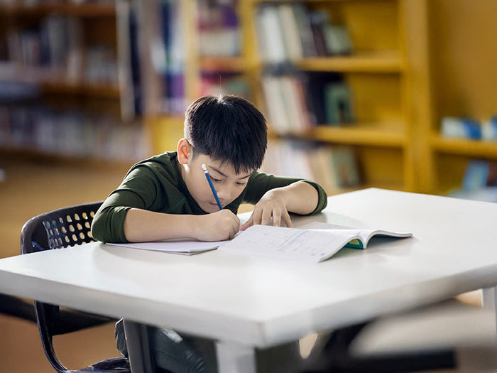 Study boosters to stretch active minds beyond the classroom 