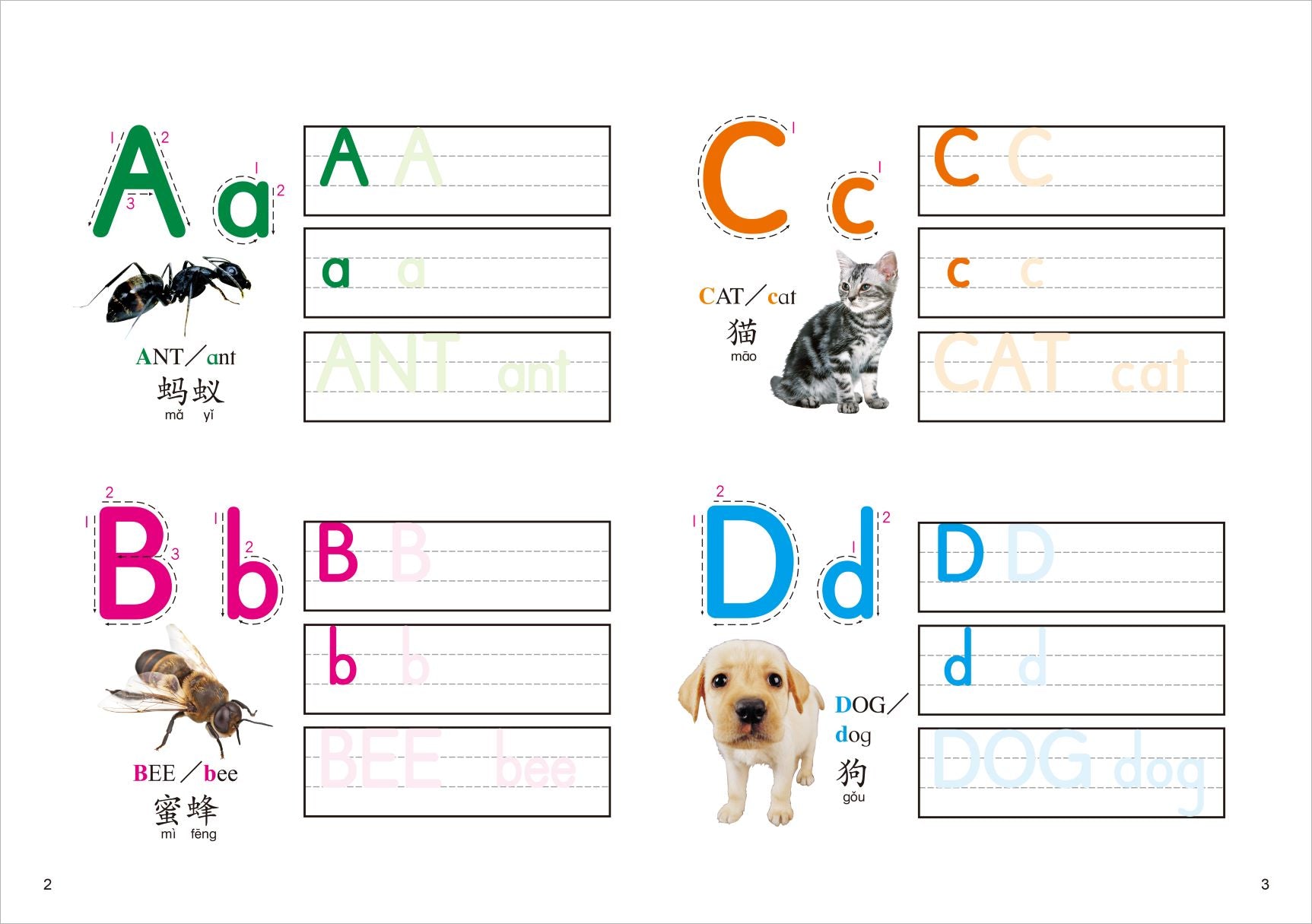 N次写轻松学:英文字母ABC - _MS, CHIN BATCH 1, 游戏/活动本