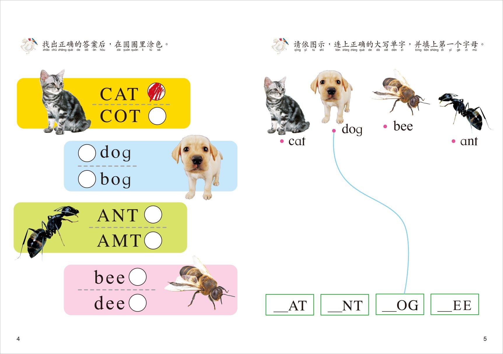 N次写轻松学:英文字母ABC - _MS, CHIN BATCH 1, 游戏/活动本