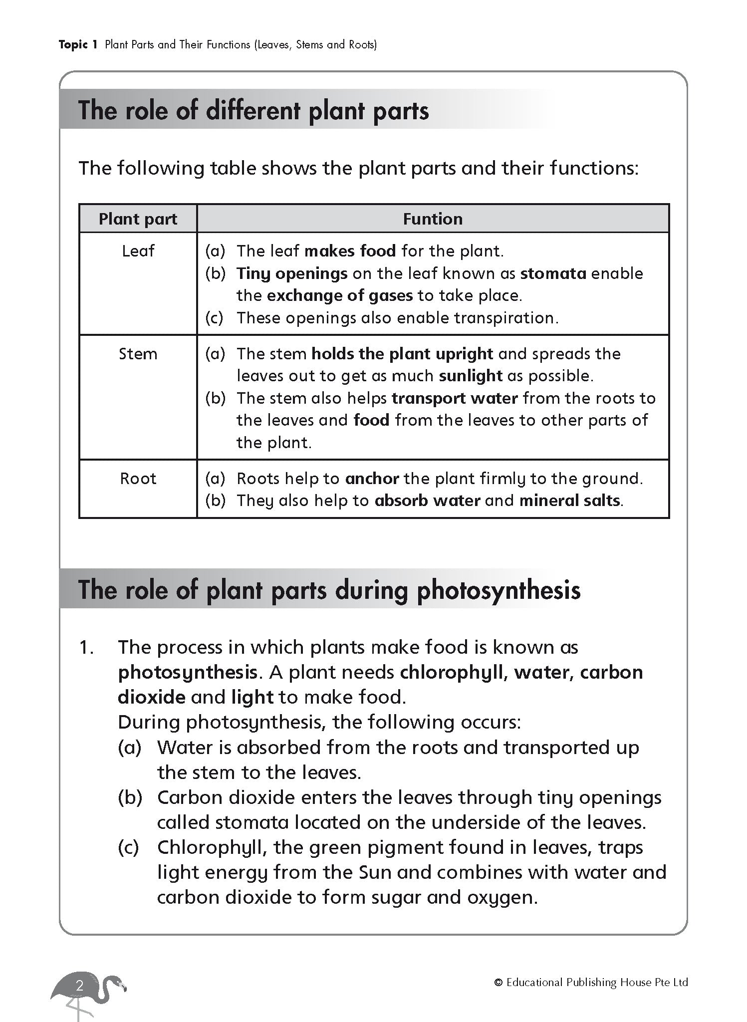 Primary 4 SCIENCE REVISION WORKBOOK