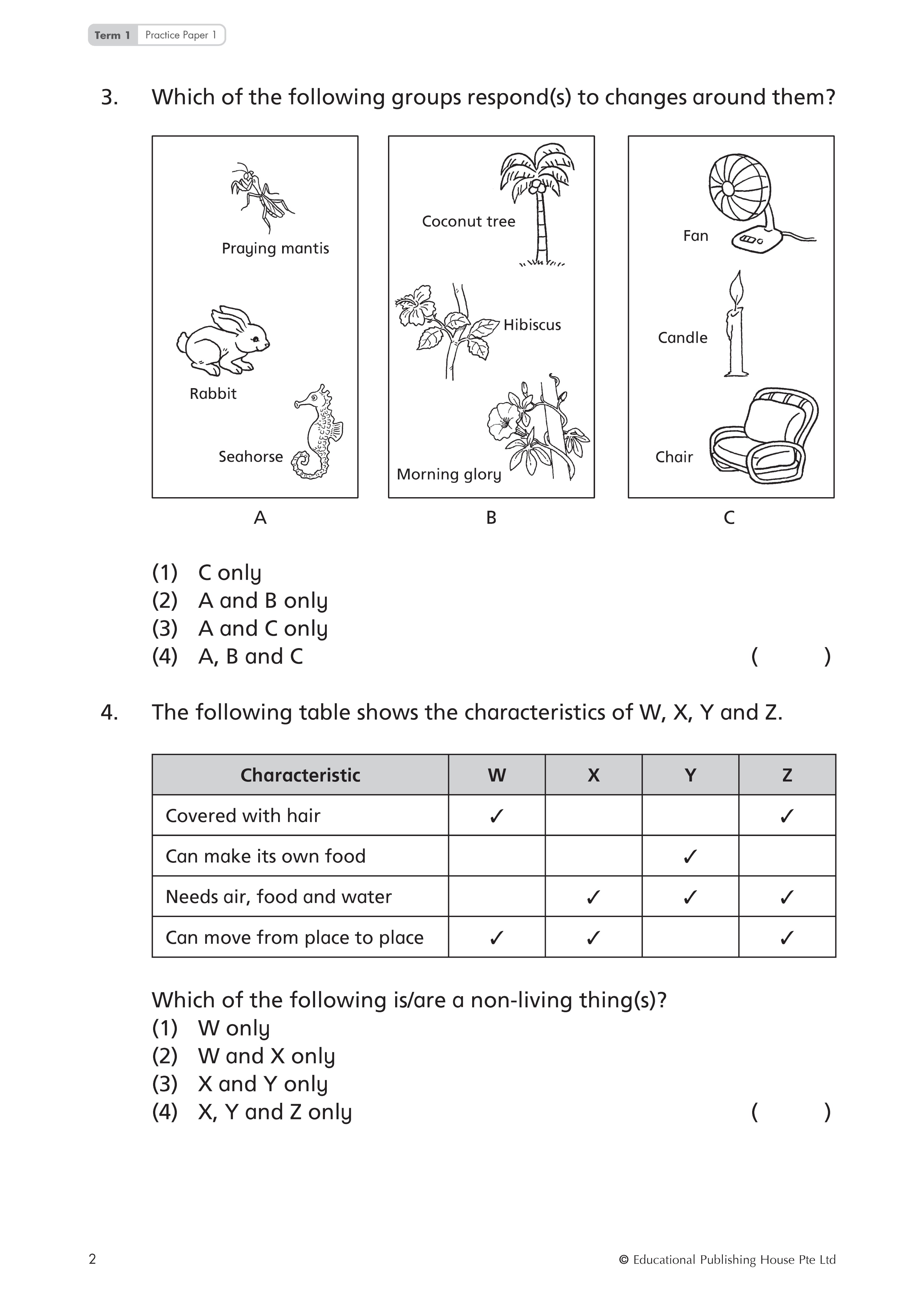 Primary 3 TOP Science Practice Papers