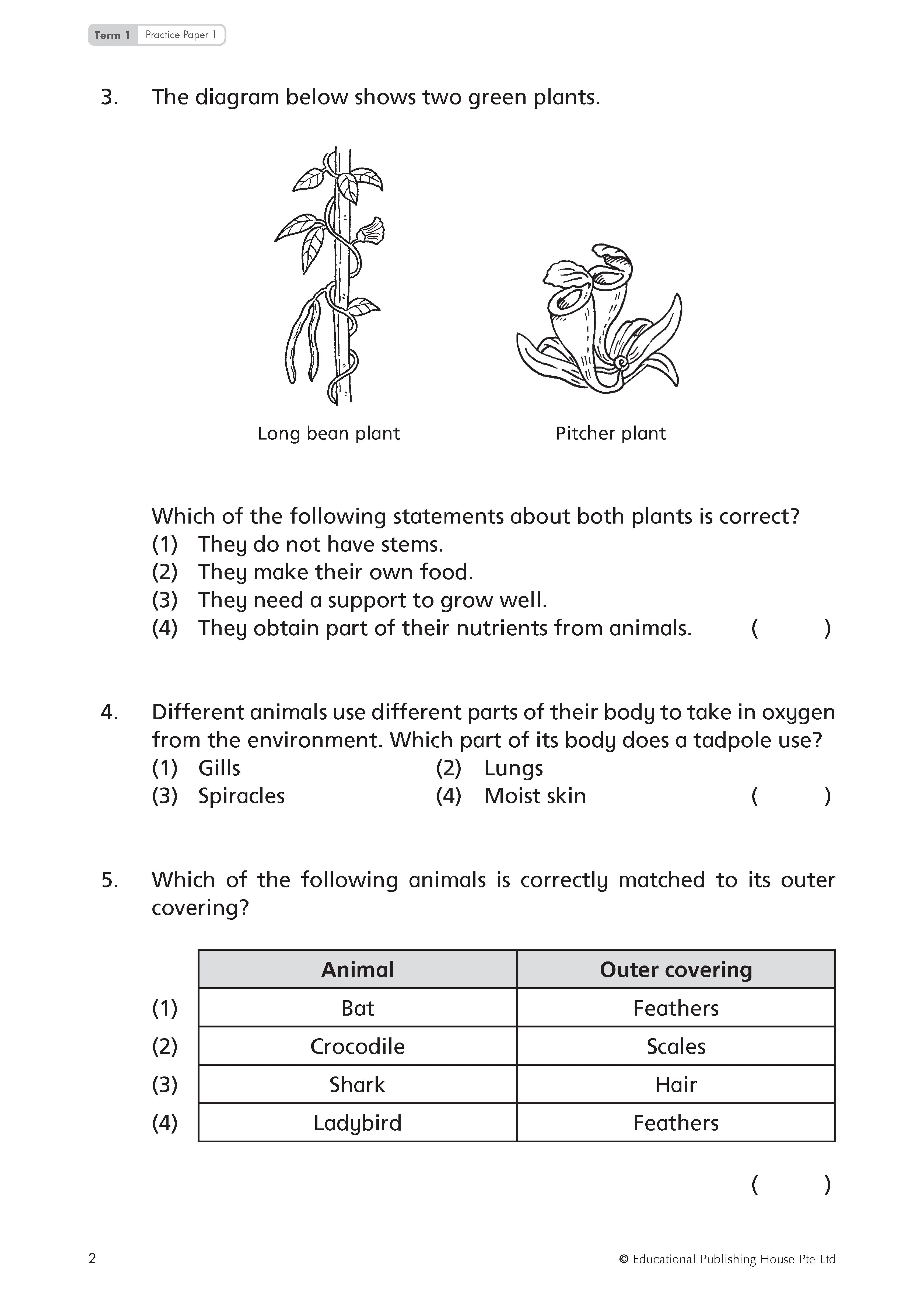 Primary 4 TOP Science Practice Papers