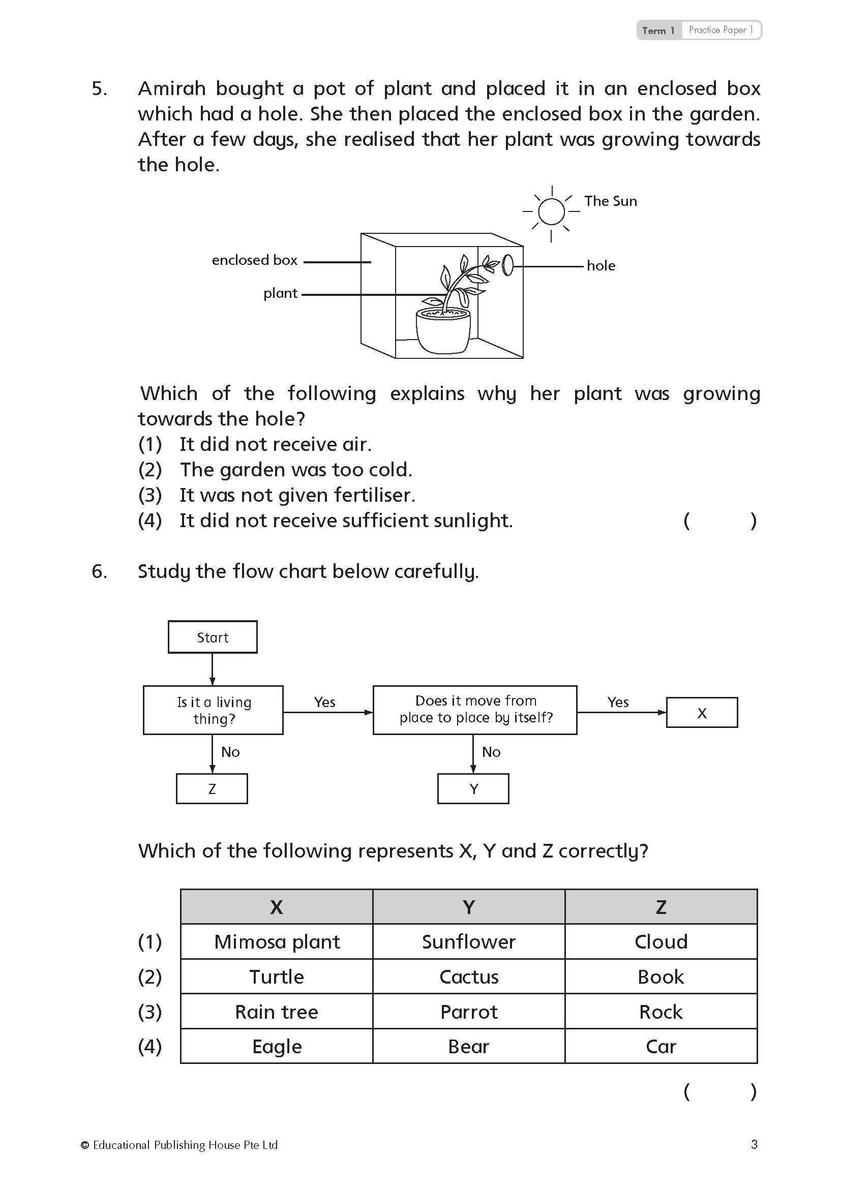 Primary 3 TOP Science Practice Papers