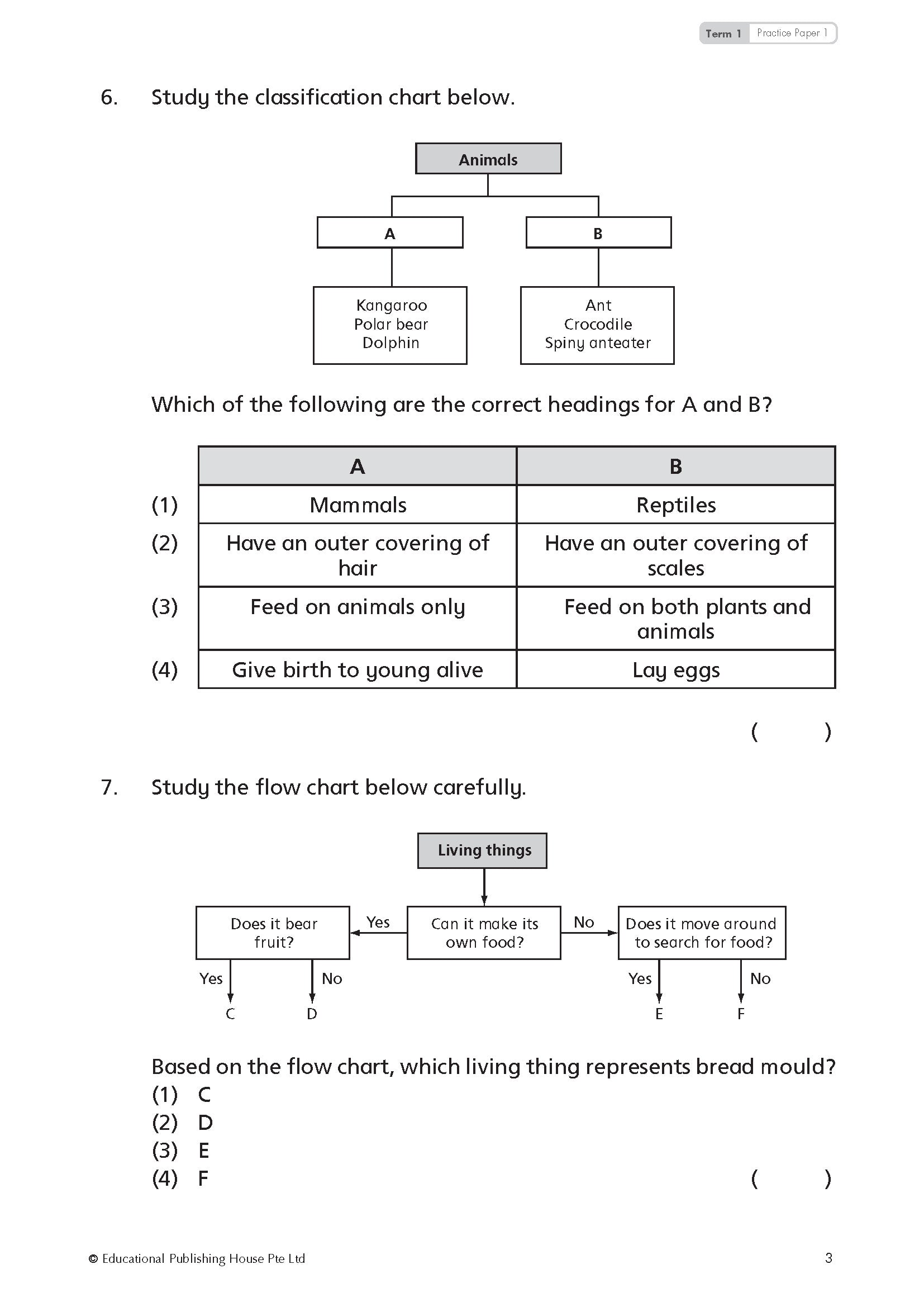 Primary 4 TOP Science Practice Papers