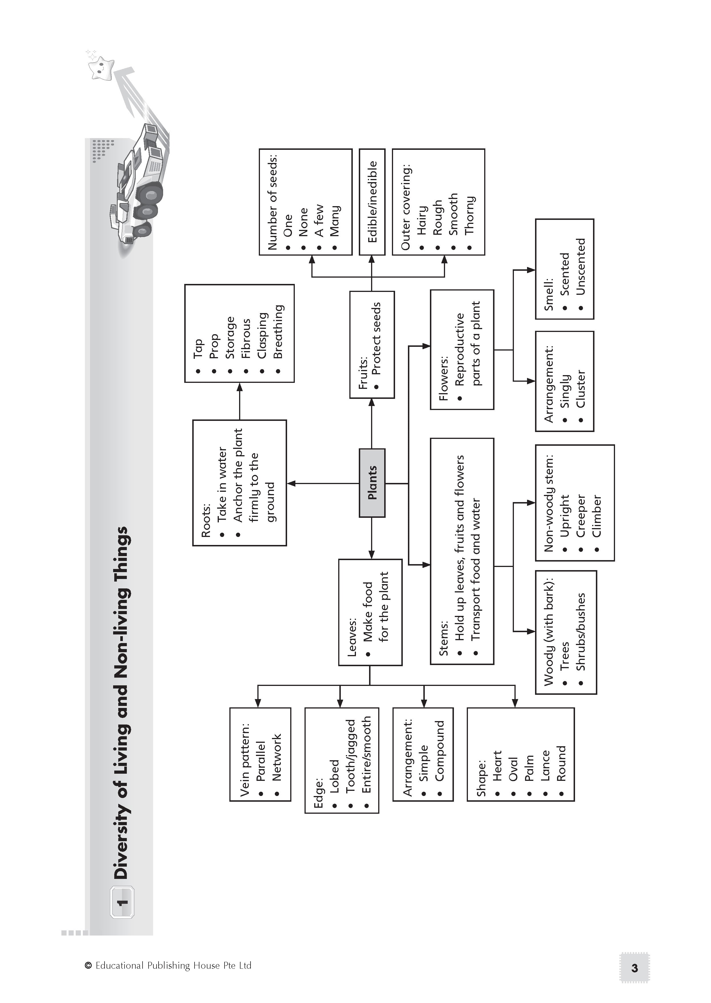 PSLE Science Exam Power Pack