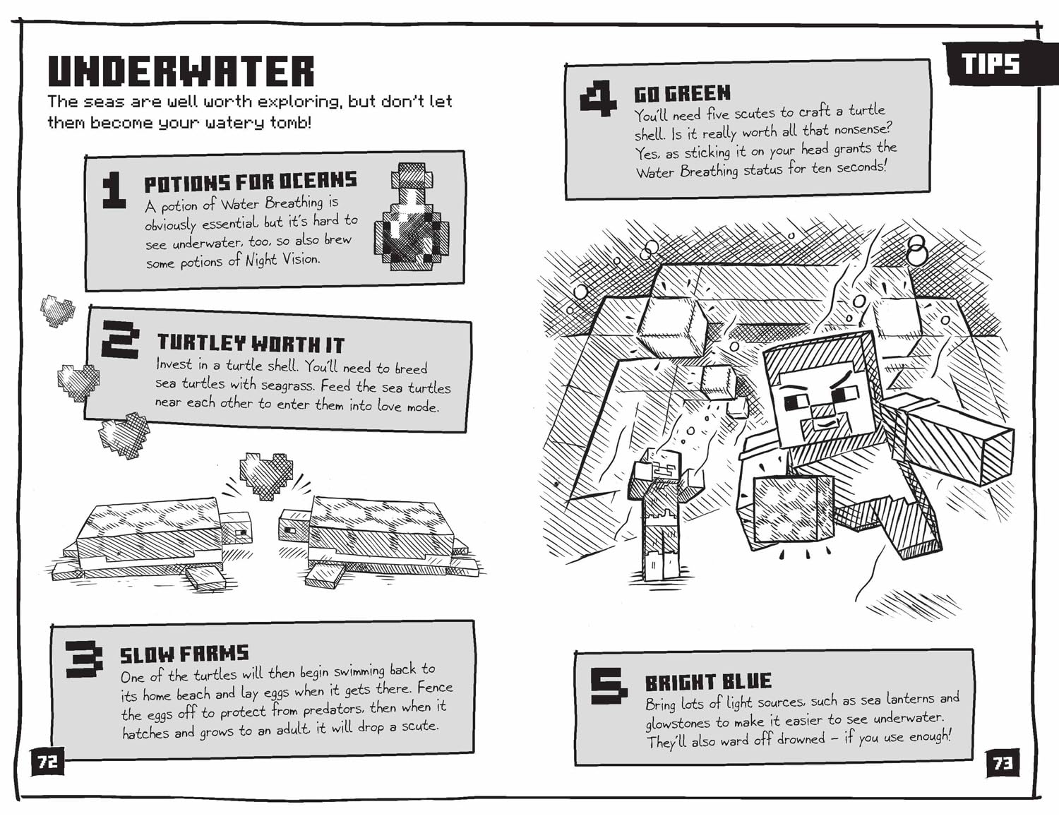 Farshore Minecraft Tips, Tricks and Hacks. (Paperback)