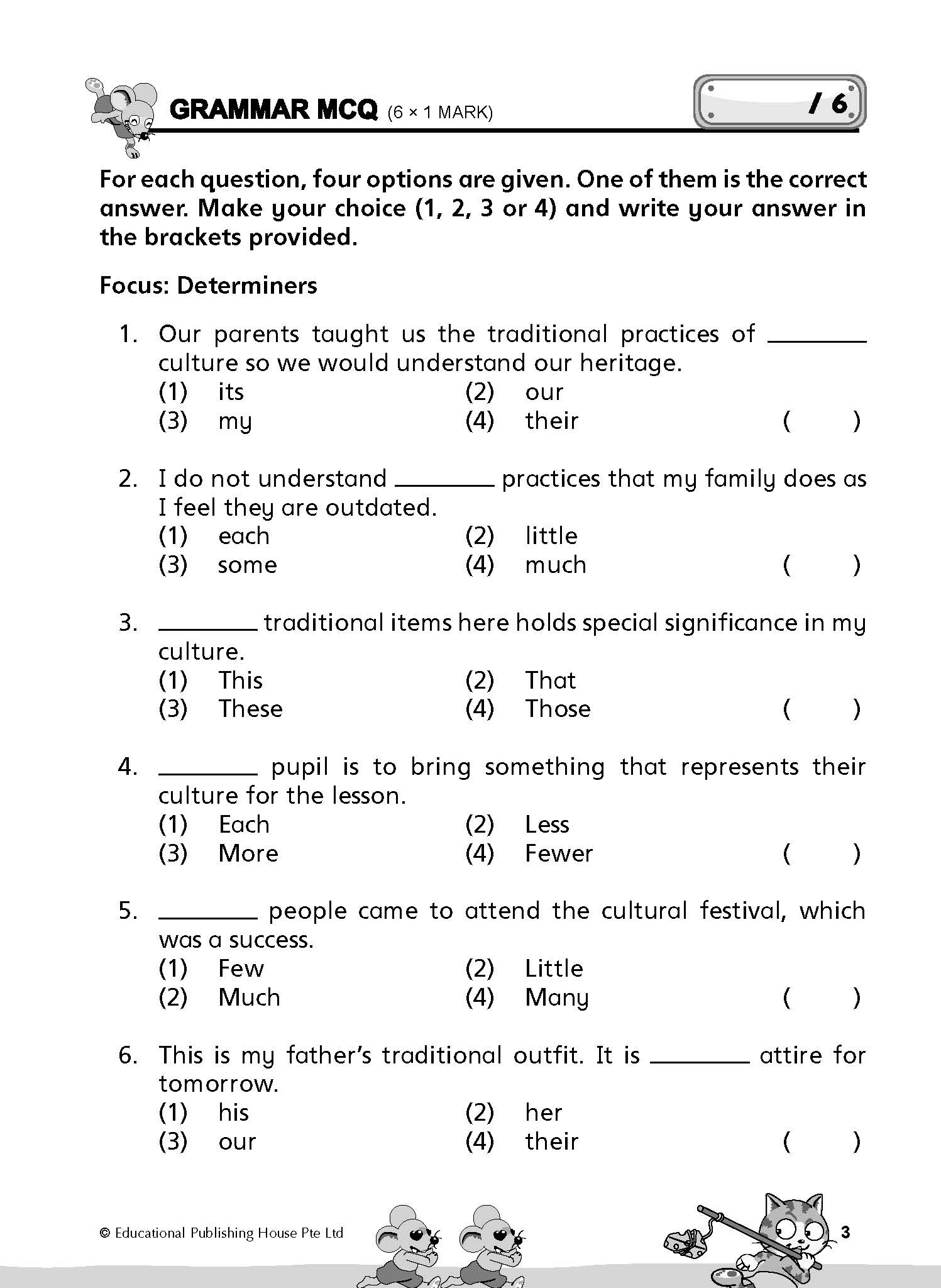 Primary 4 Diagnostic Practice In English