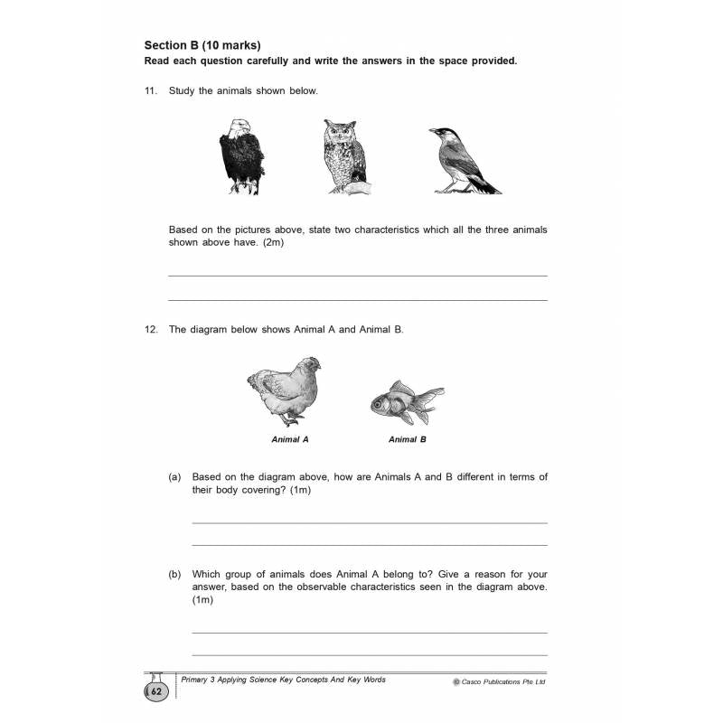 Science Applying Key Concepts & Key Words Primary 3 - 2nd Edition