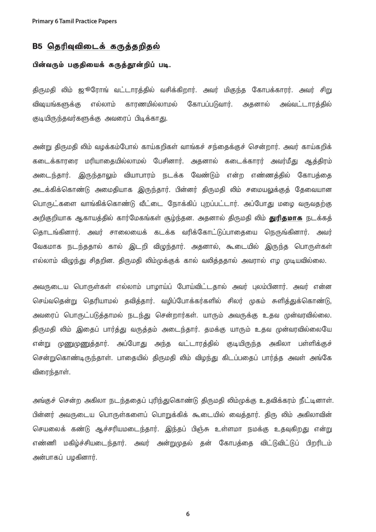 Primary 6 Tamil Practice Papers