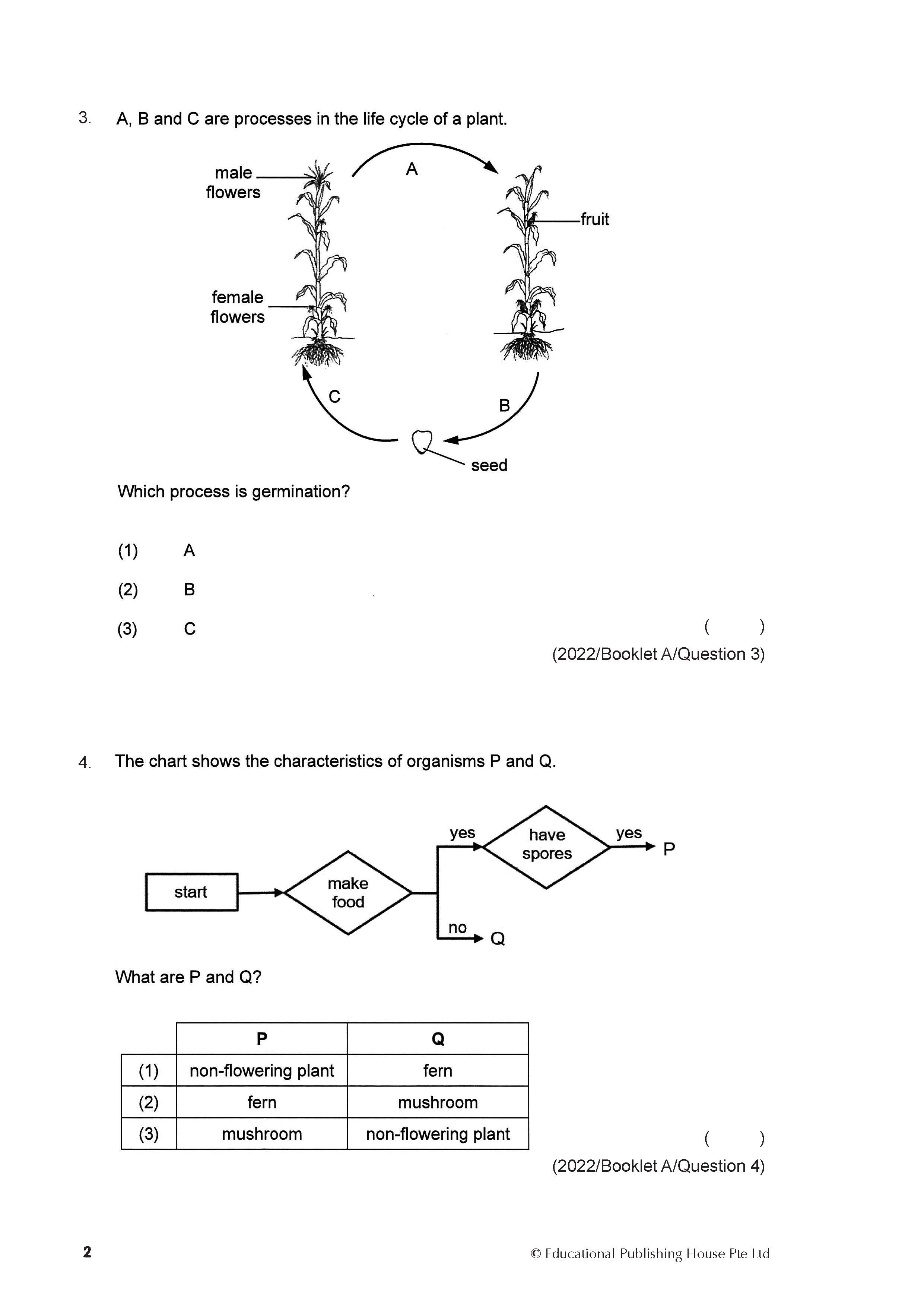 PSLE Foundation Science Exam Q&A 22-24 (Topic)