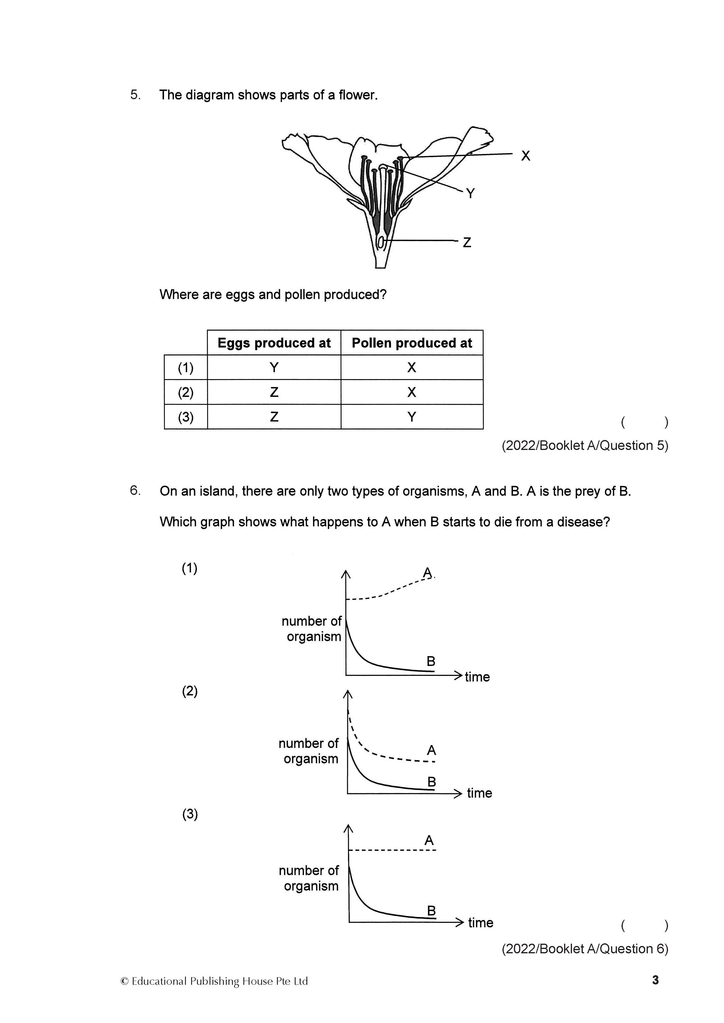 PSLE Foundation Science Exam Q&A 22-24 (Topic)