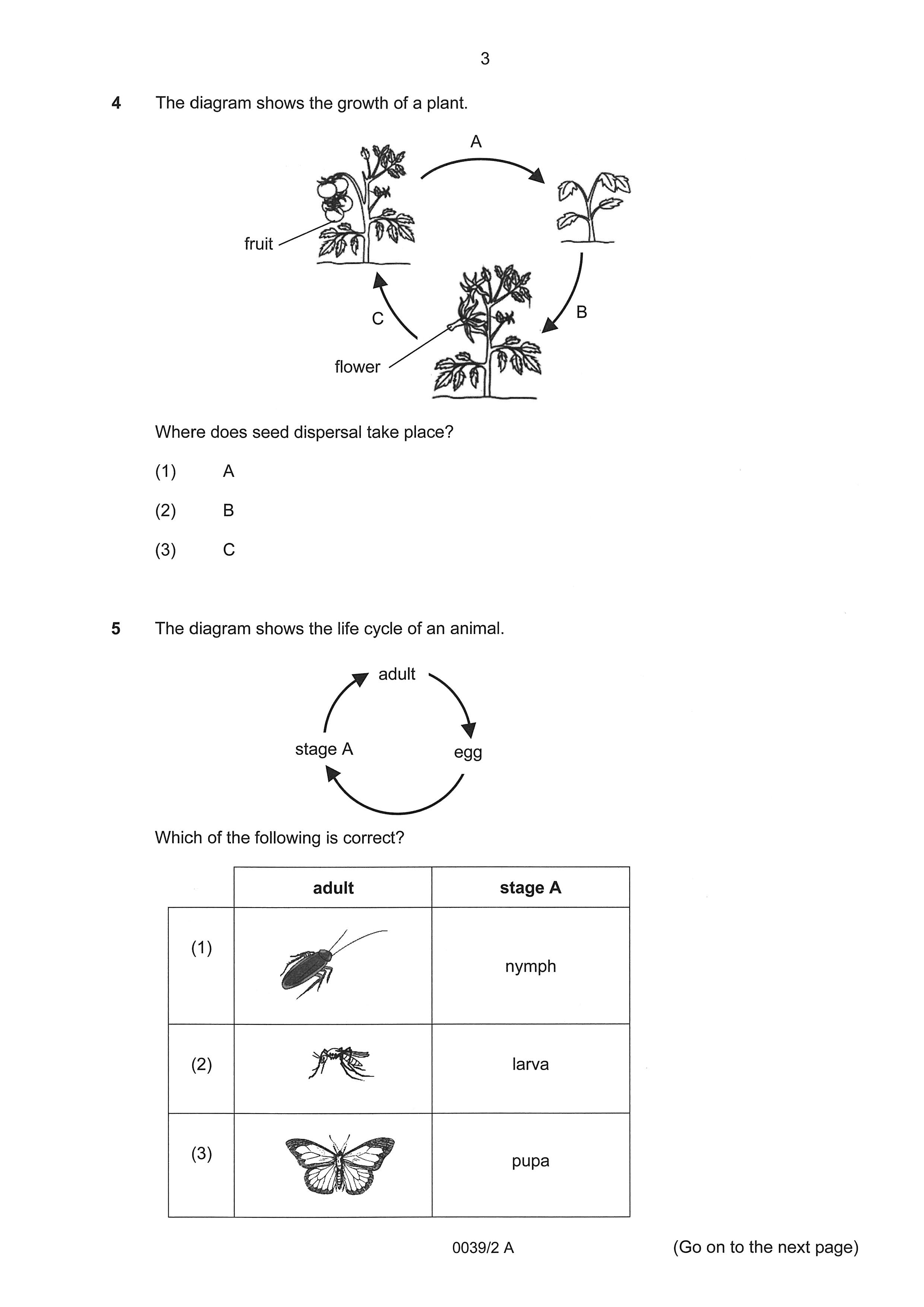 PSLE Foundation Science Exam Q&A 22-24 (Yearly)