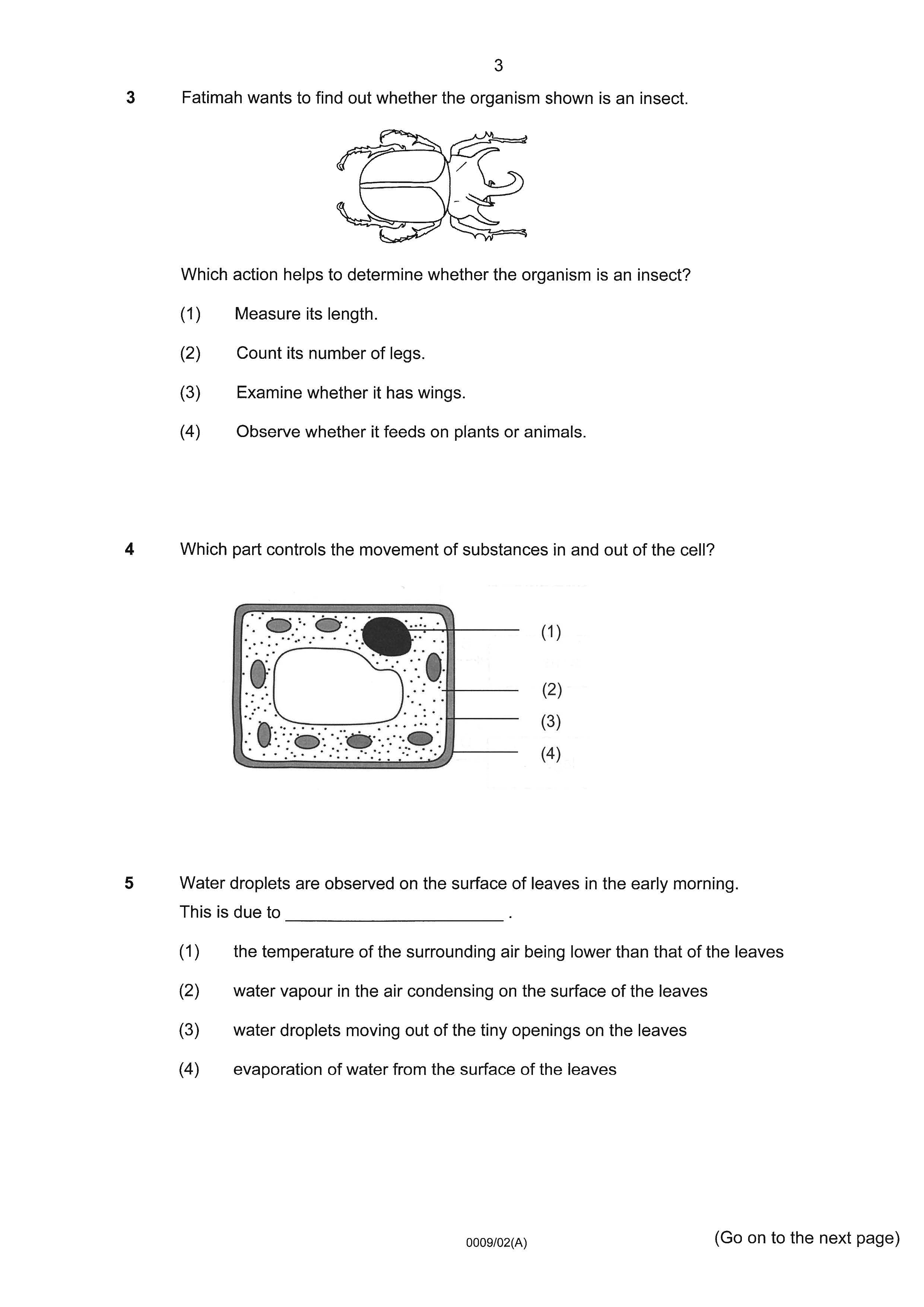 PSLE Science Exam Q&A 22-24 (Yearly)