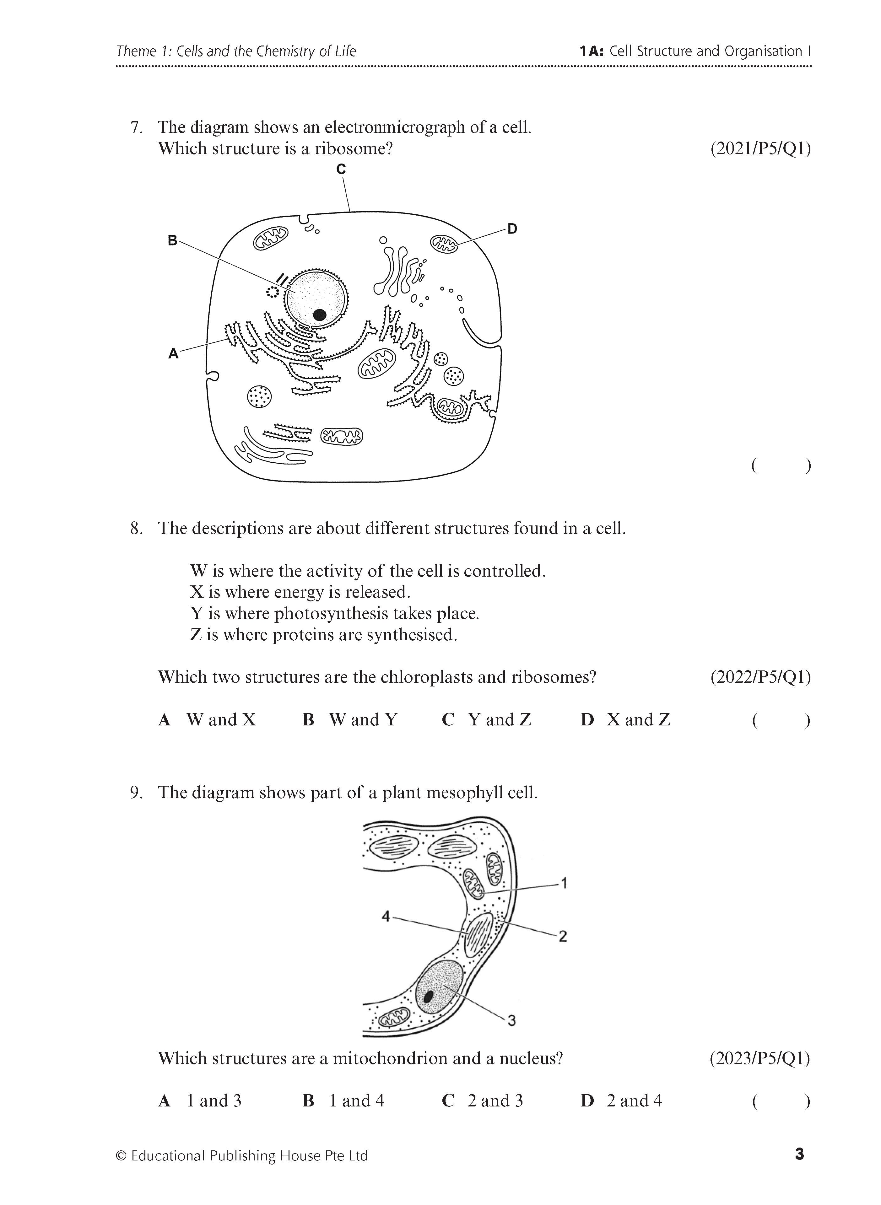 Normal(A) Science Biology Exam Q&A 15-24 (Topic)