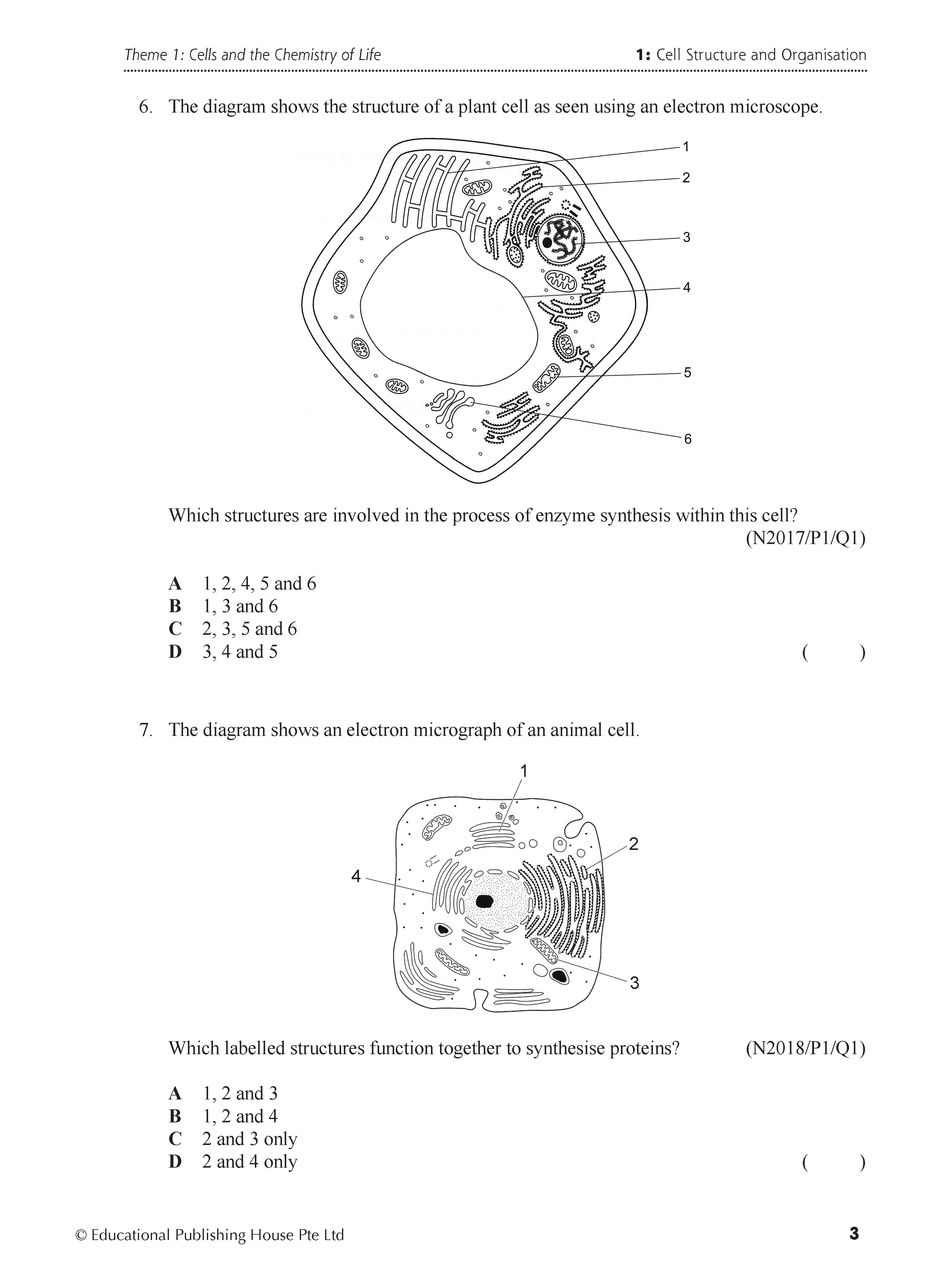 O Level Biology Exam Q&A 15-24 (Topic)