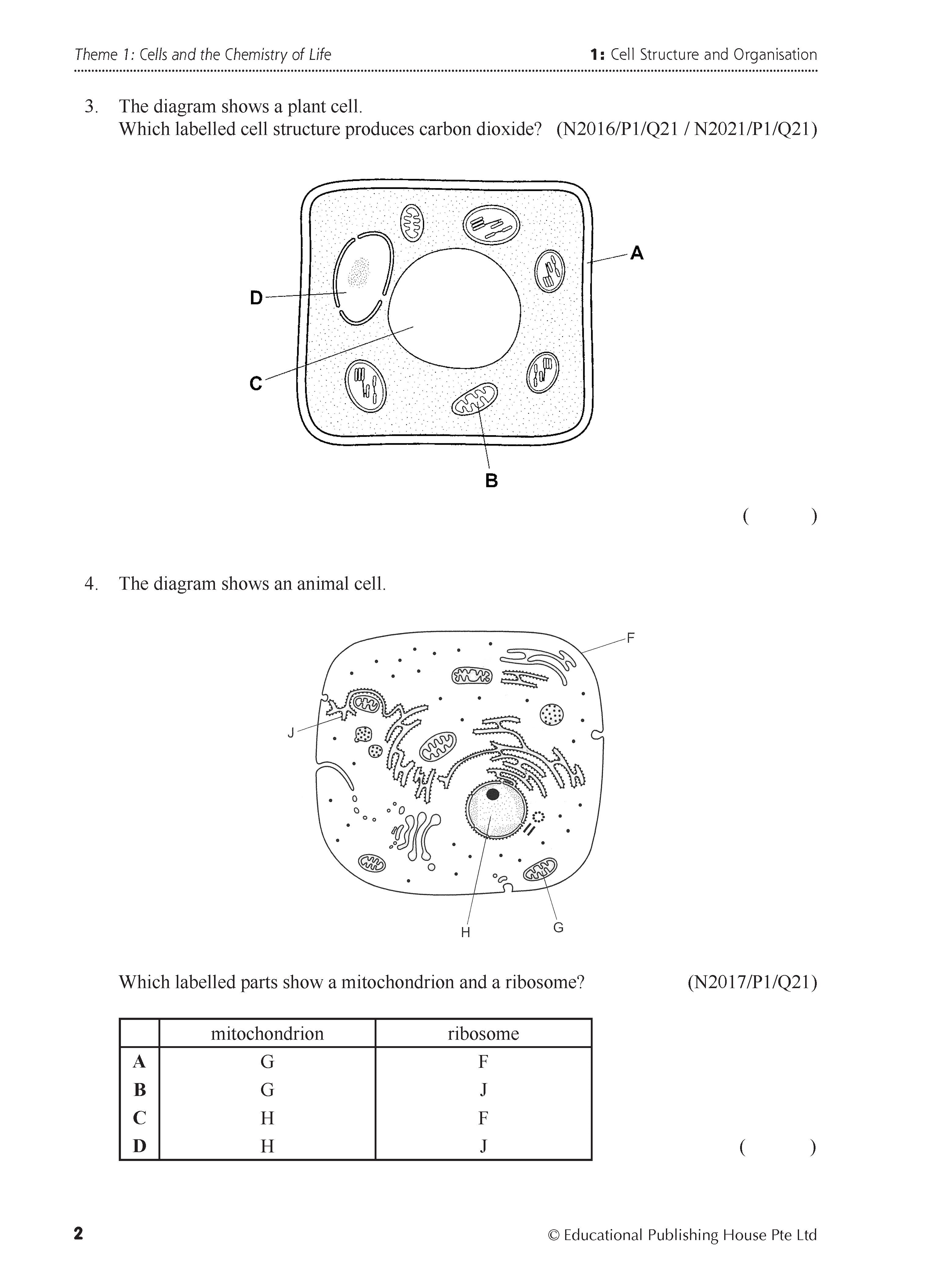 O Level Science Biology Exam Q&A 15-24 (Topic)