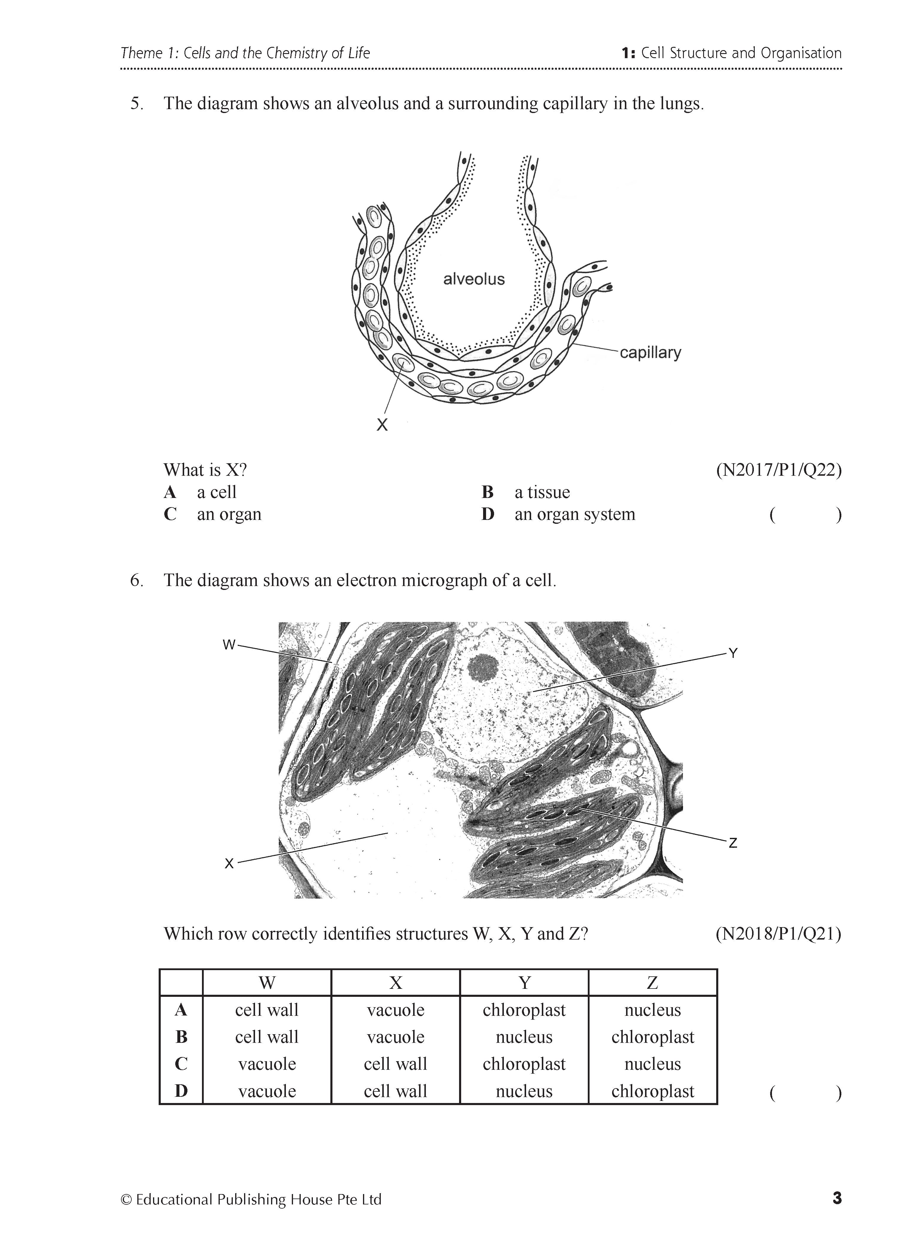 O Level Science Biology Exam Q&A 15-24 (Topic)