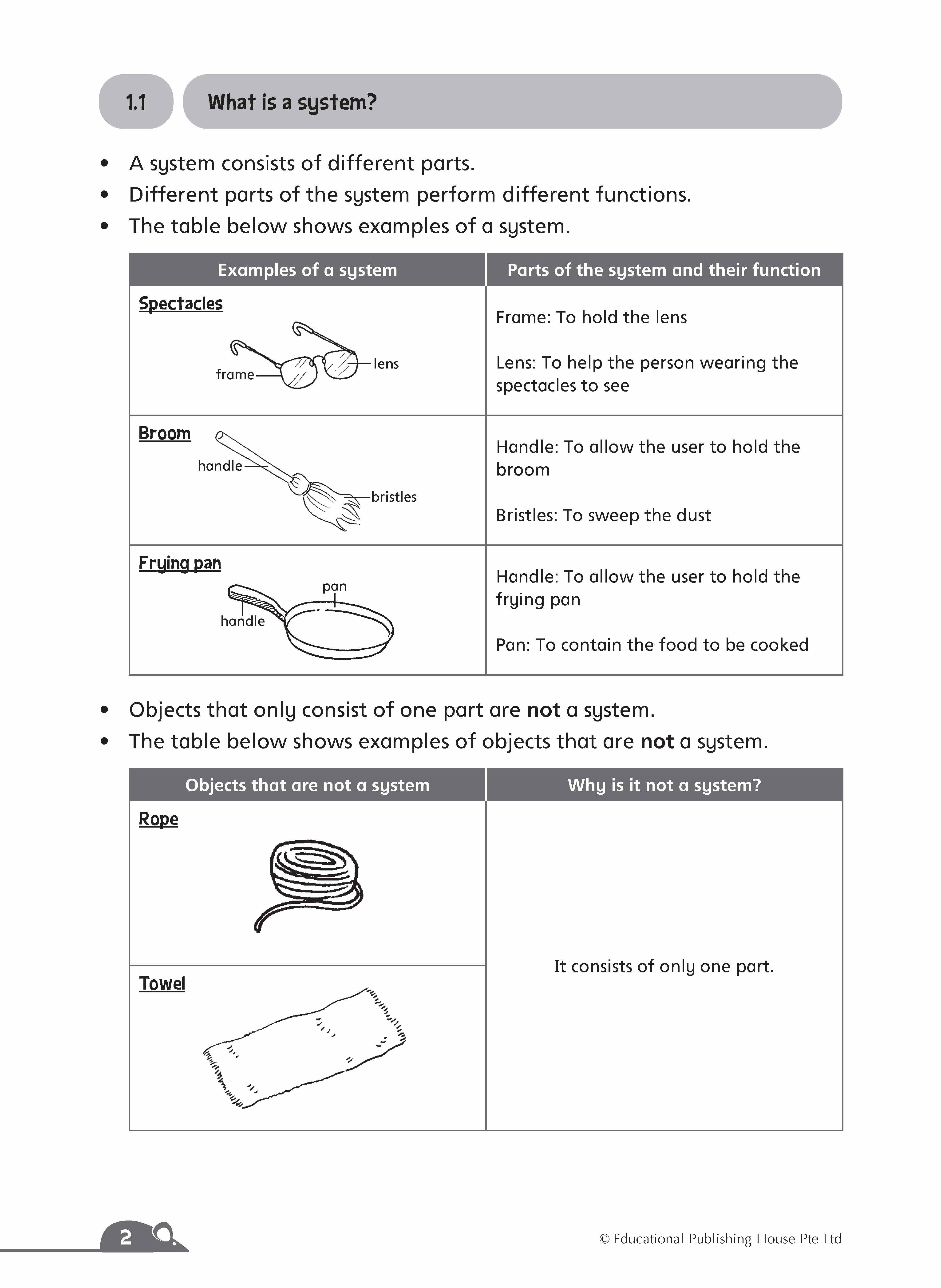 Primary 4 Complete Science Essentials