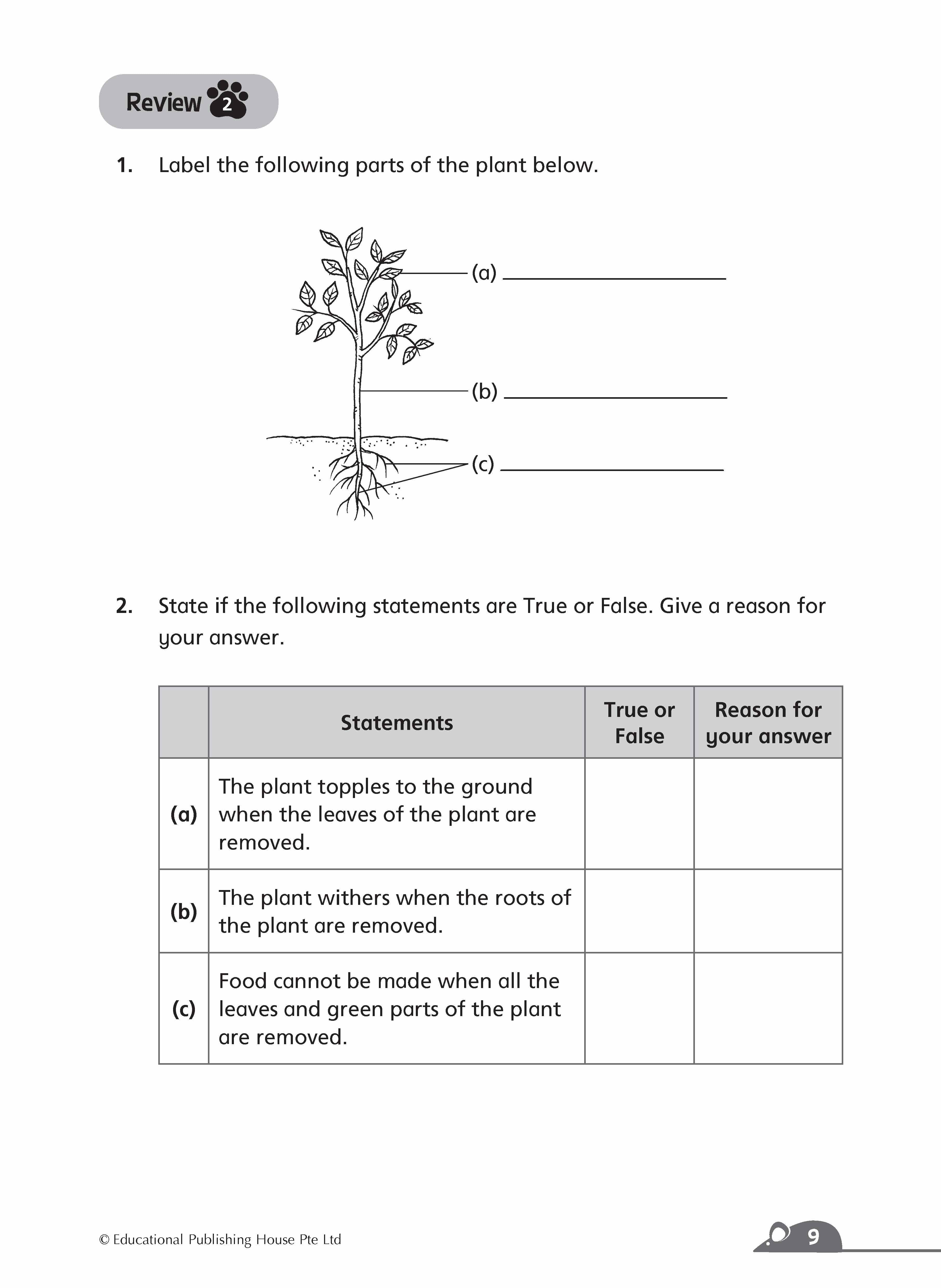 Primary 4 Complete Science Essentials