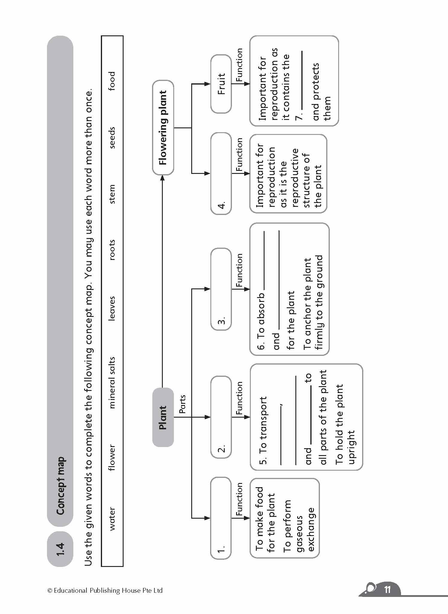 Primary 4 Complete Science Essentials