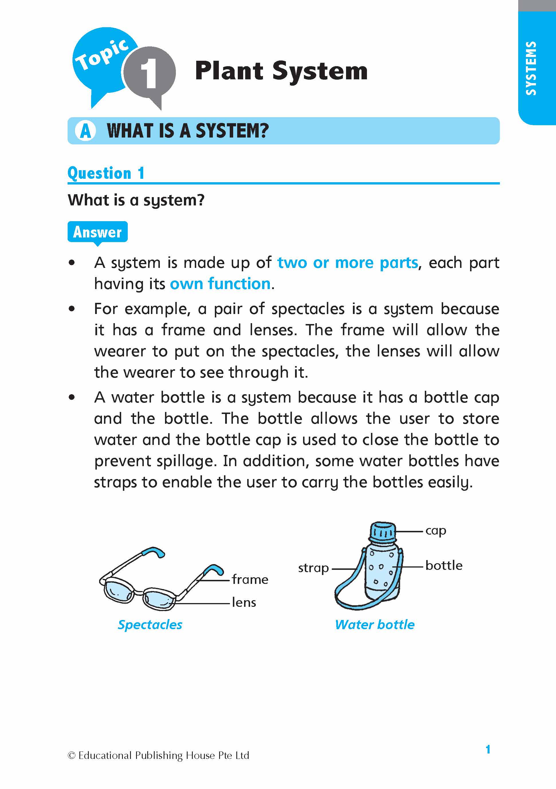 Primary 4 Science Quick and Effective Q&A