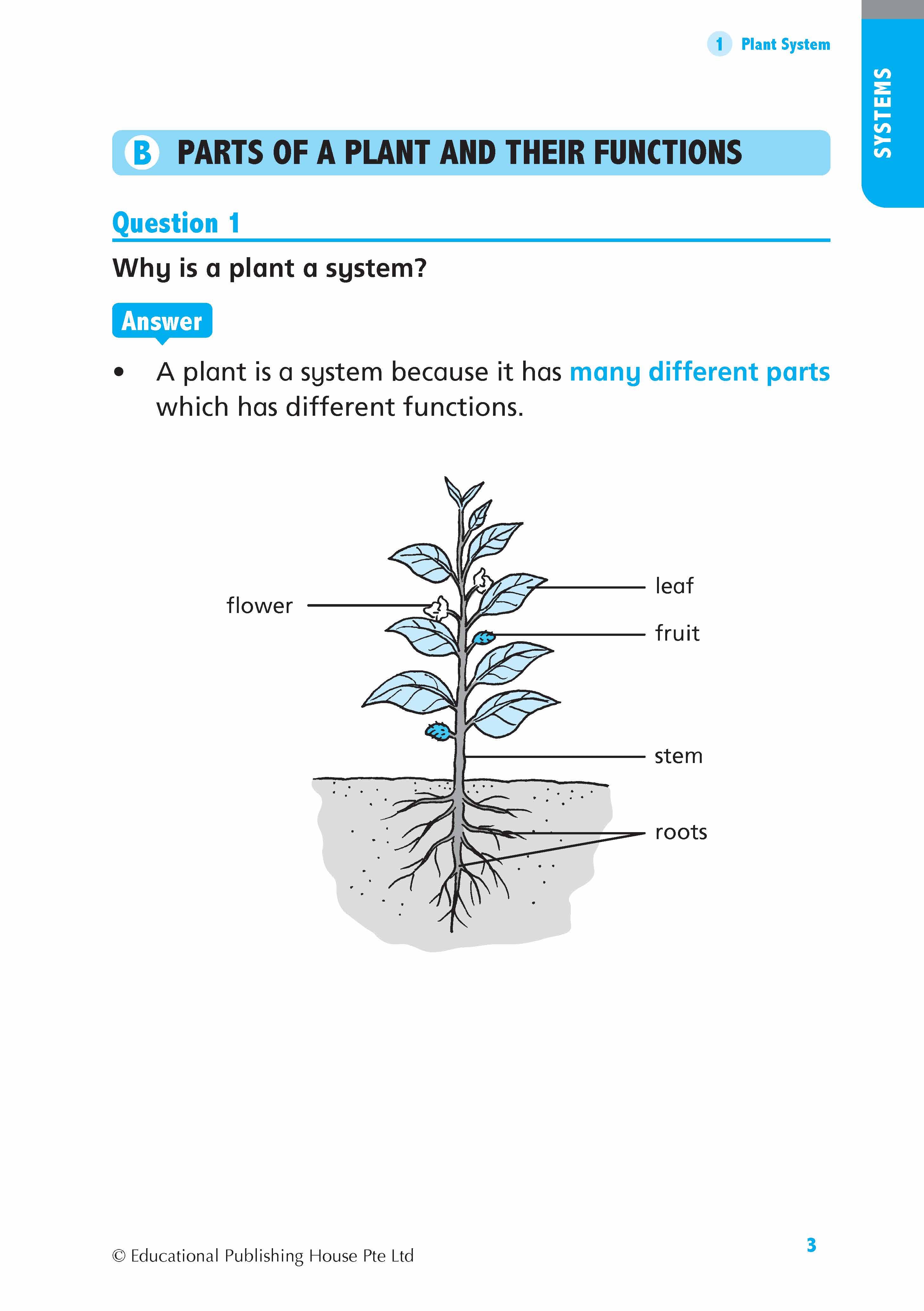 Primary 4 Science Quick and Effective Q&A