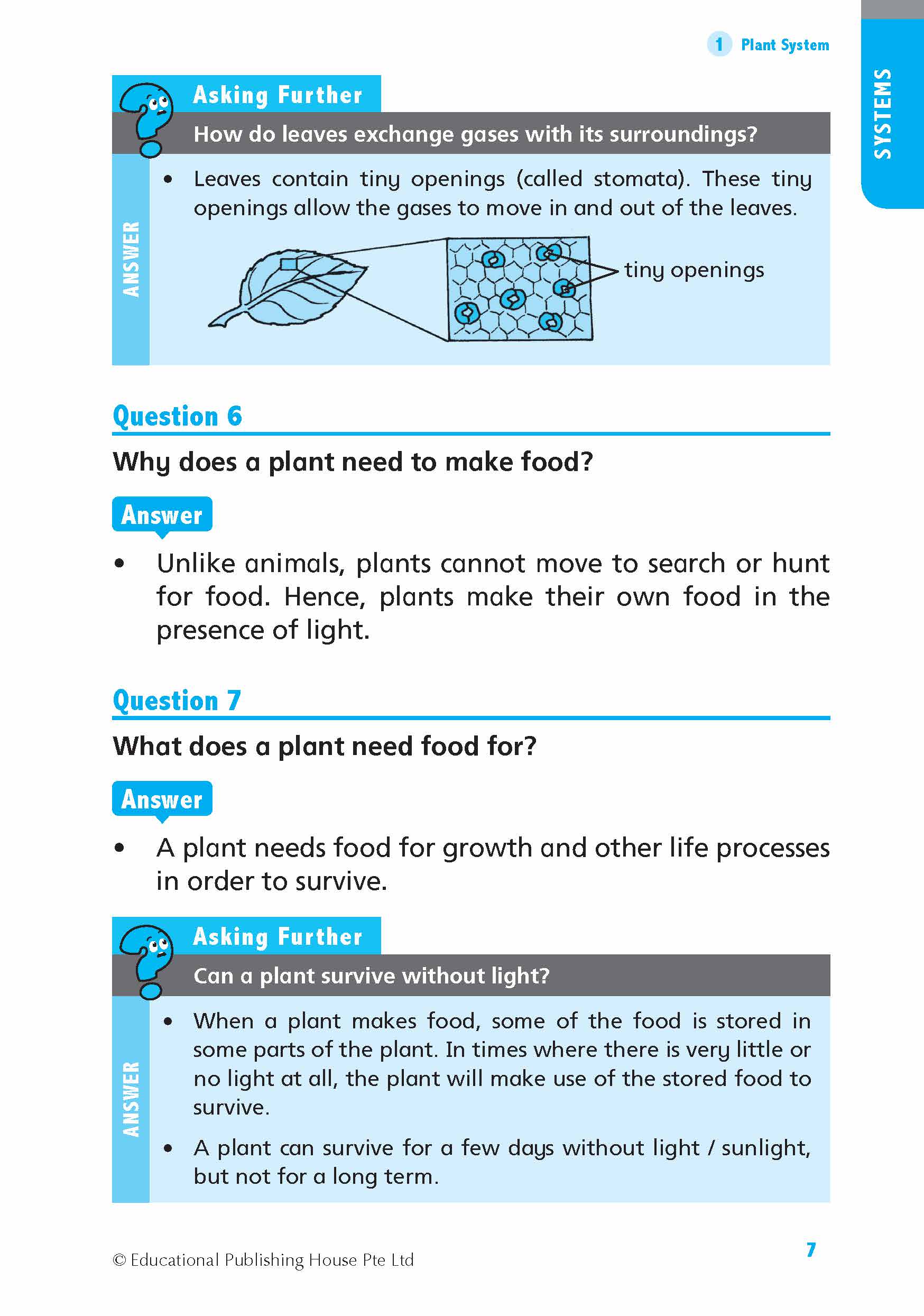 Primary 4 Science Quick and Effective Q&A