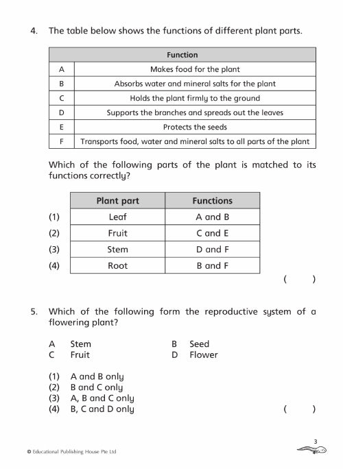 Primary 4 Science Topical Class Tests