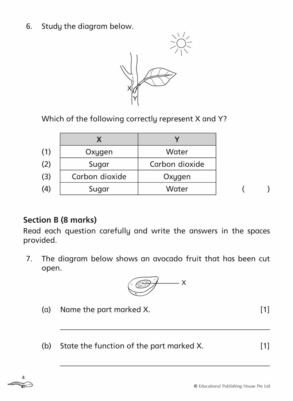 Primary 4 Science Topical Class Tests