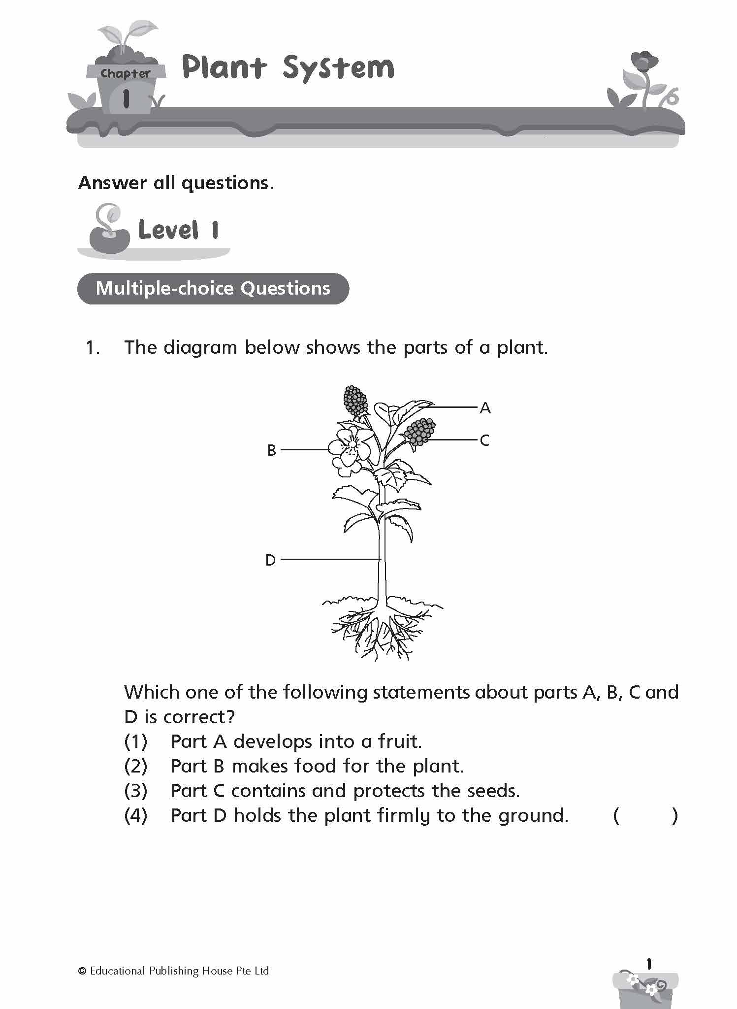 Primary 4 SCIENCE PROGRESSIVE PRACTICE