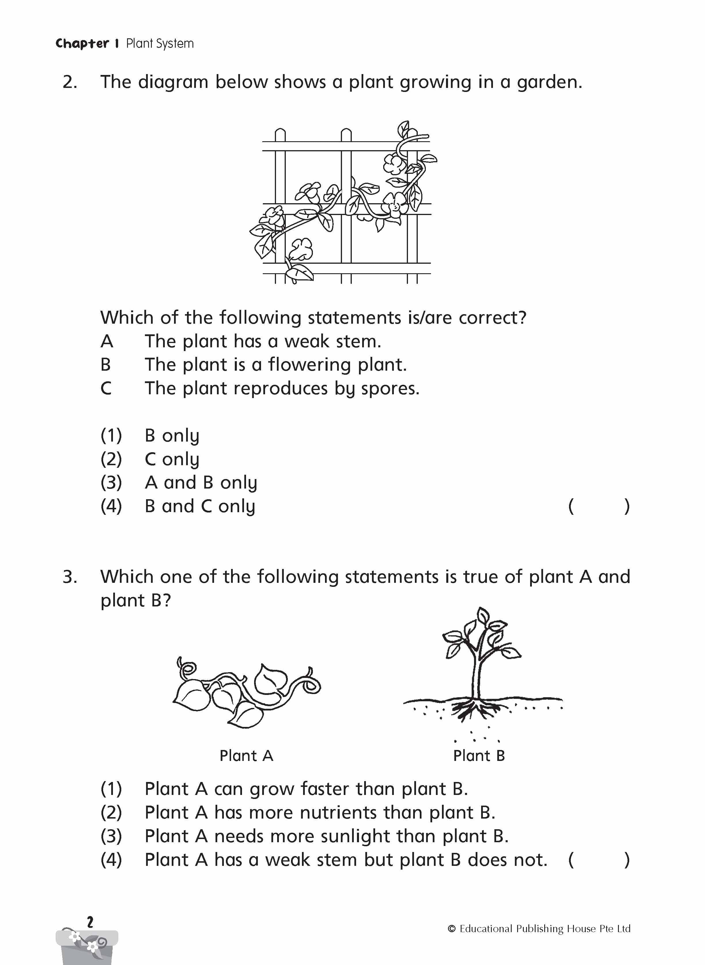 Primary 4 SCIENCE PROGRESSIVE PRACTICE