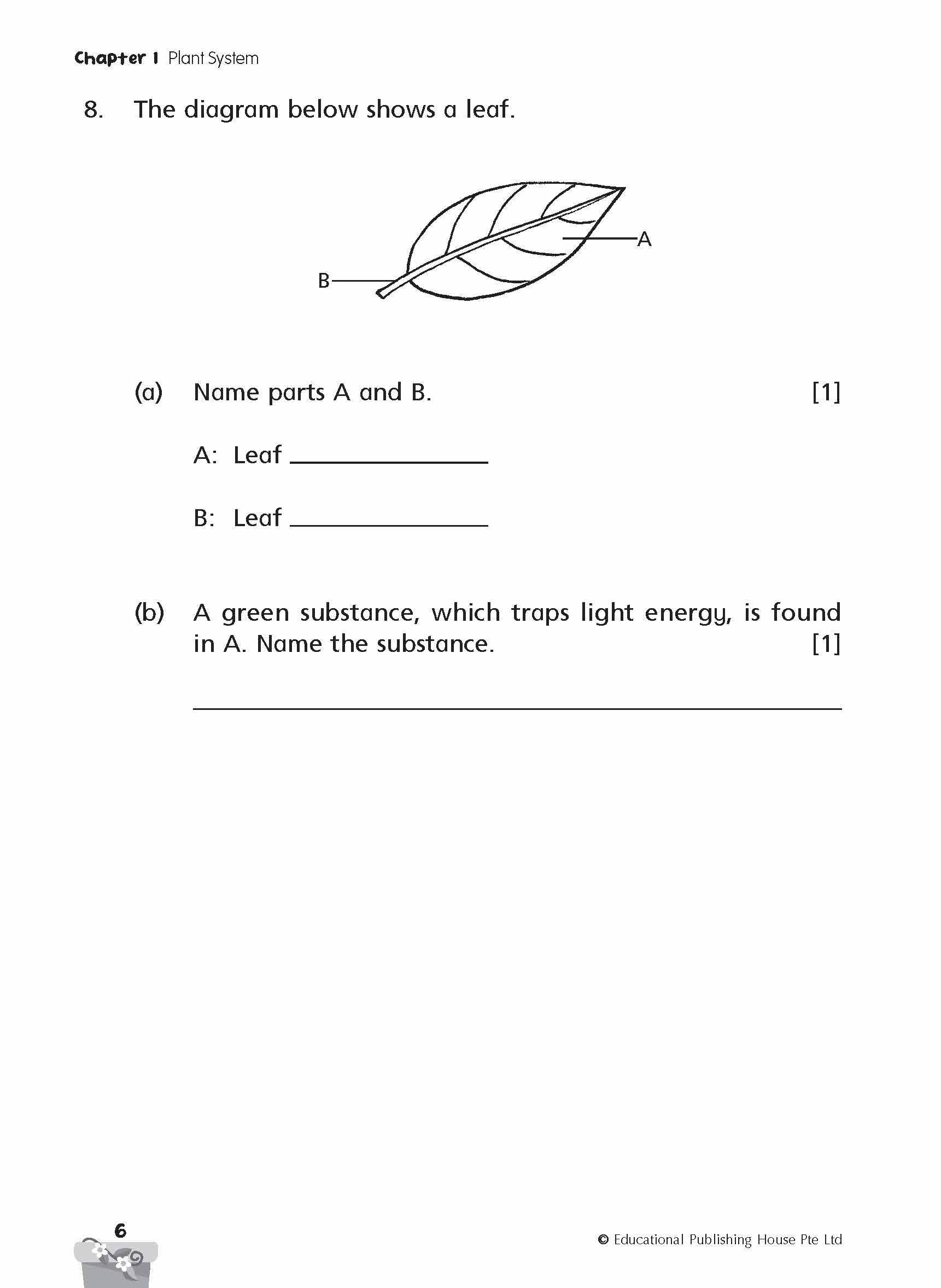 Primary 4 SCIENCE PROGRESSIVE PRACTICE