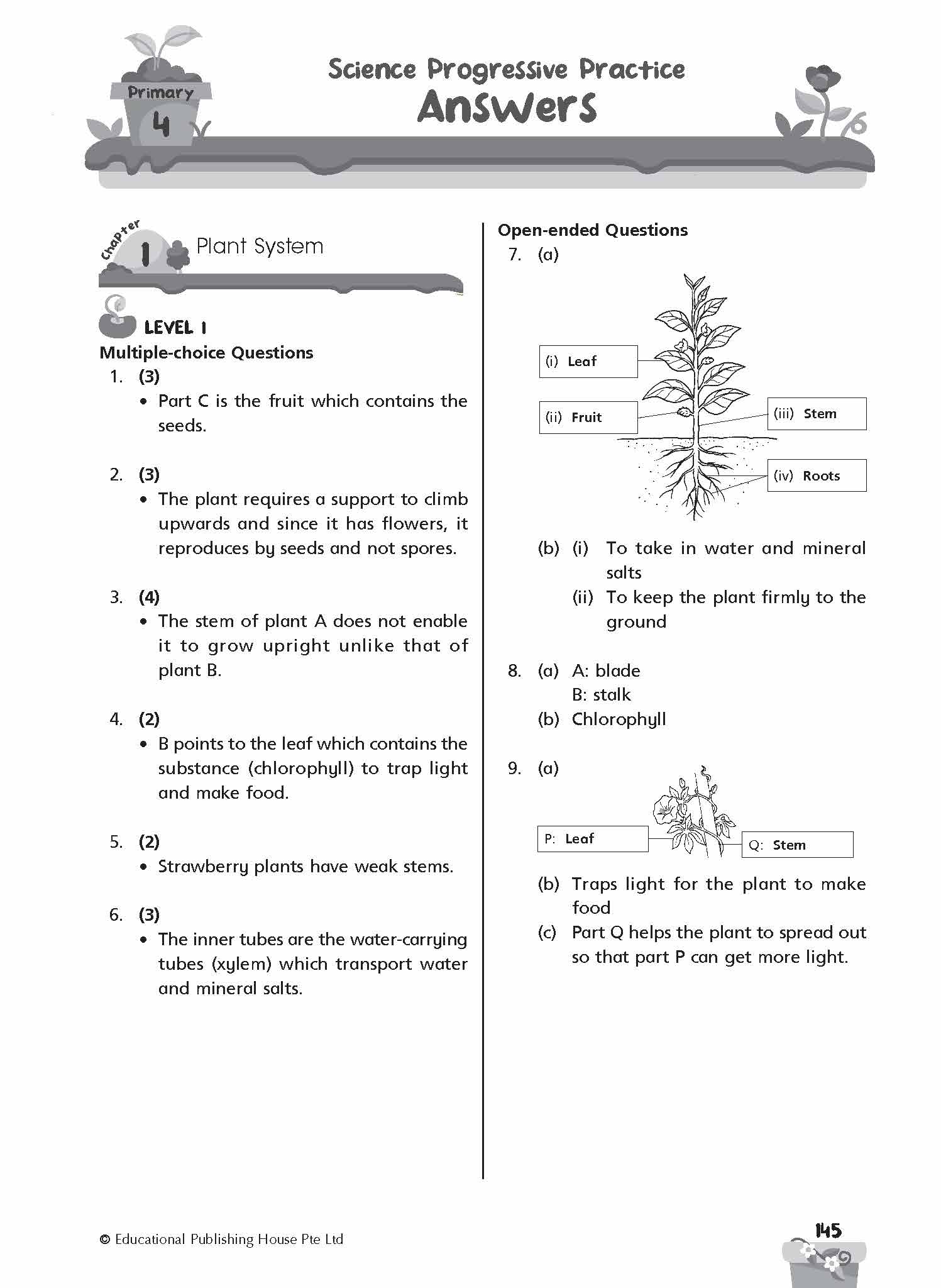 Primary 4 SCIENCE PROGRESSIVE PRACTICE