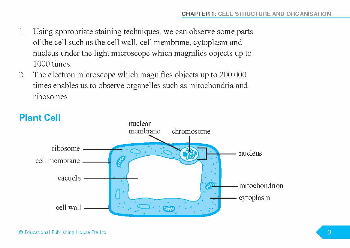 O/N Level (G3/G2) Science Biology Quick Revision Handbook