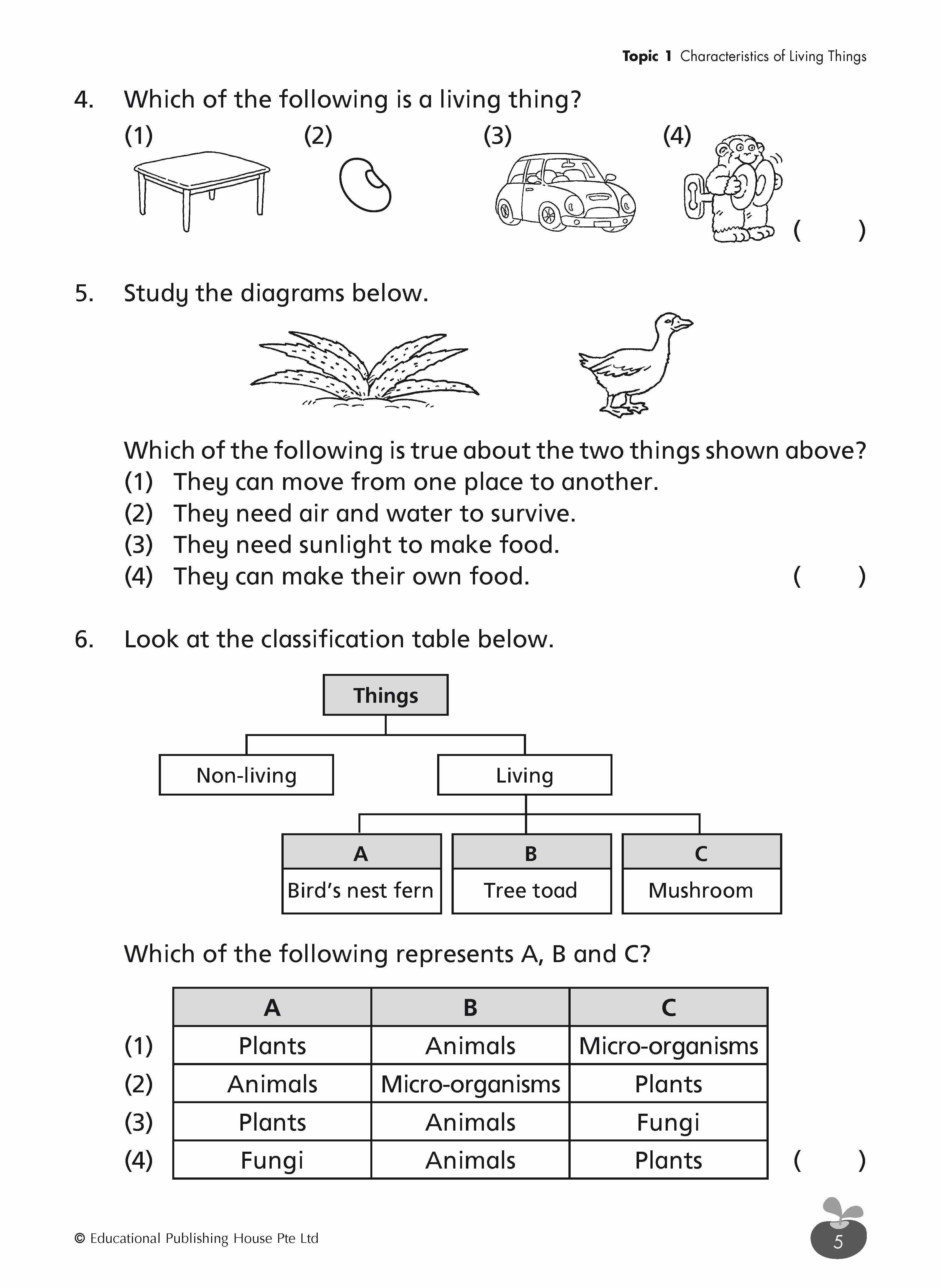 Primary 3 SCIENCE REVISION WORKBOOK