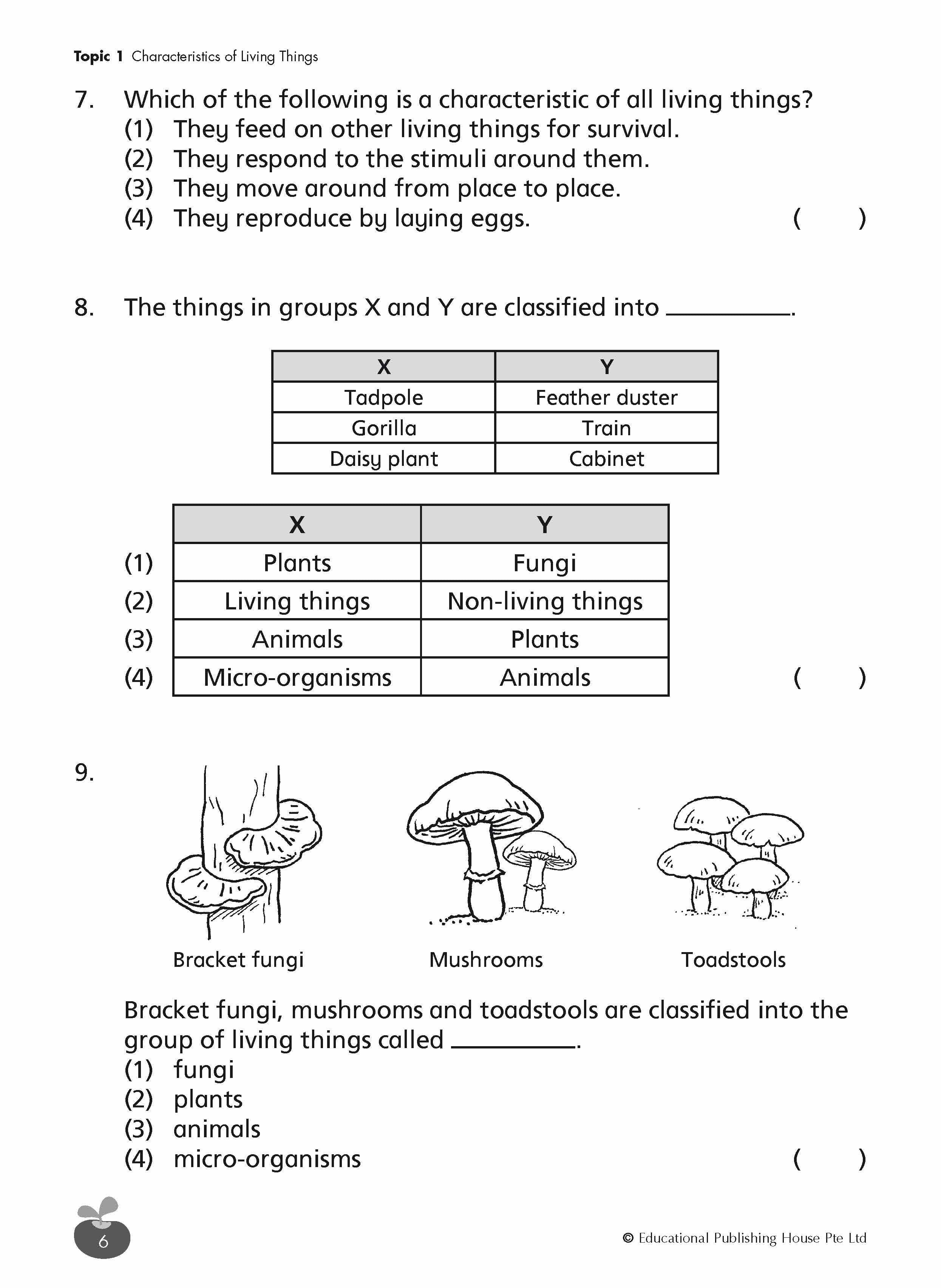 Primary 3 SCIENCE REVISION WORKBOOK